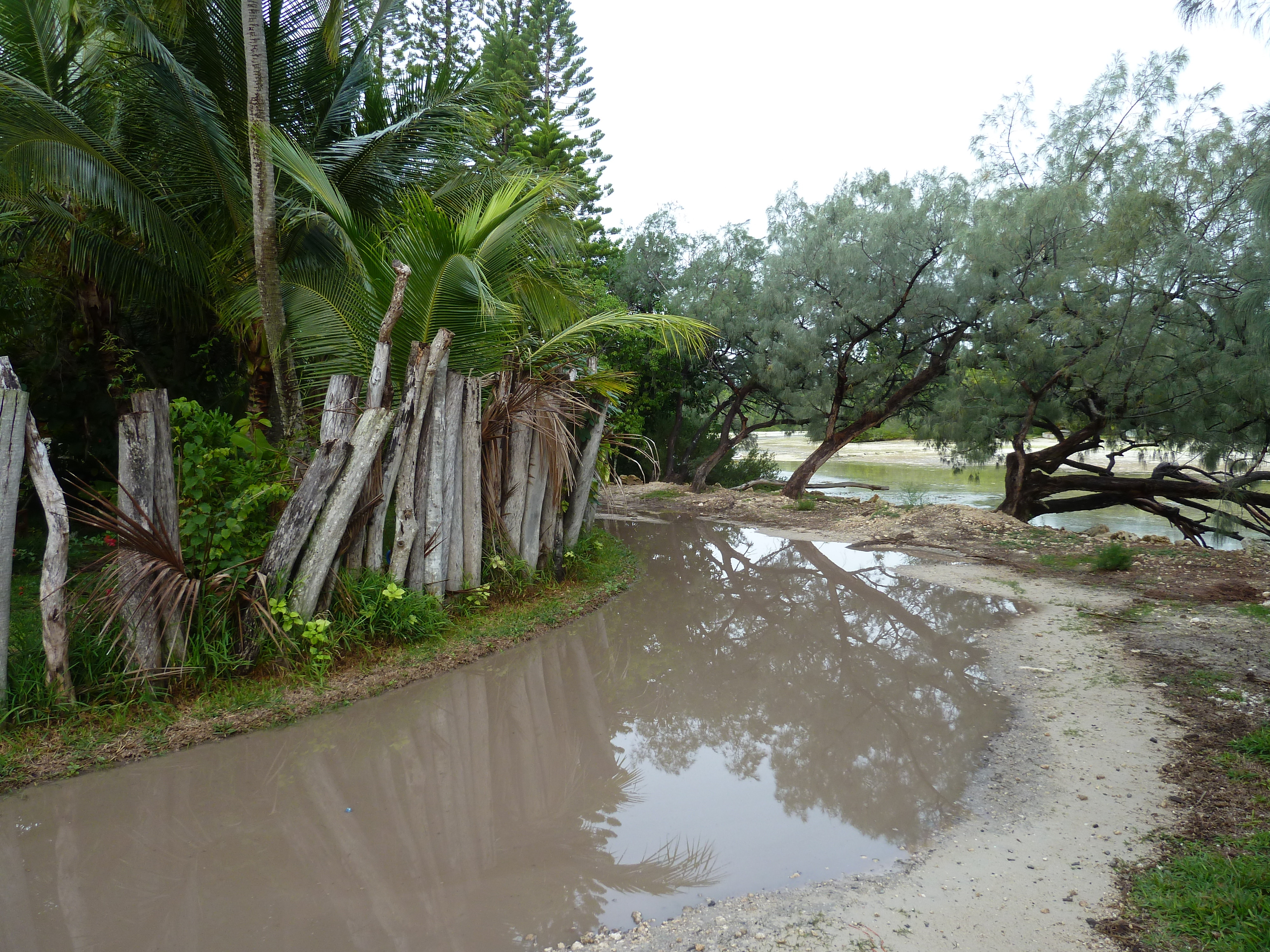 รูปถ่าย นิวแคลิโดเนีย(New Caledonia) เกาะต้นสน(Ile des pins) อ่าวโอโร(Oro Bay) 2010-05 95