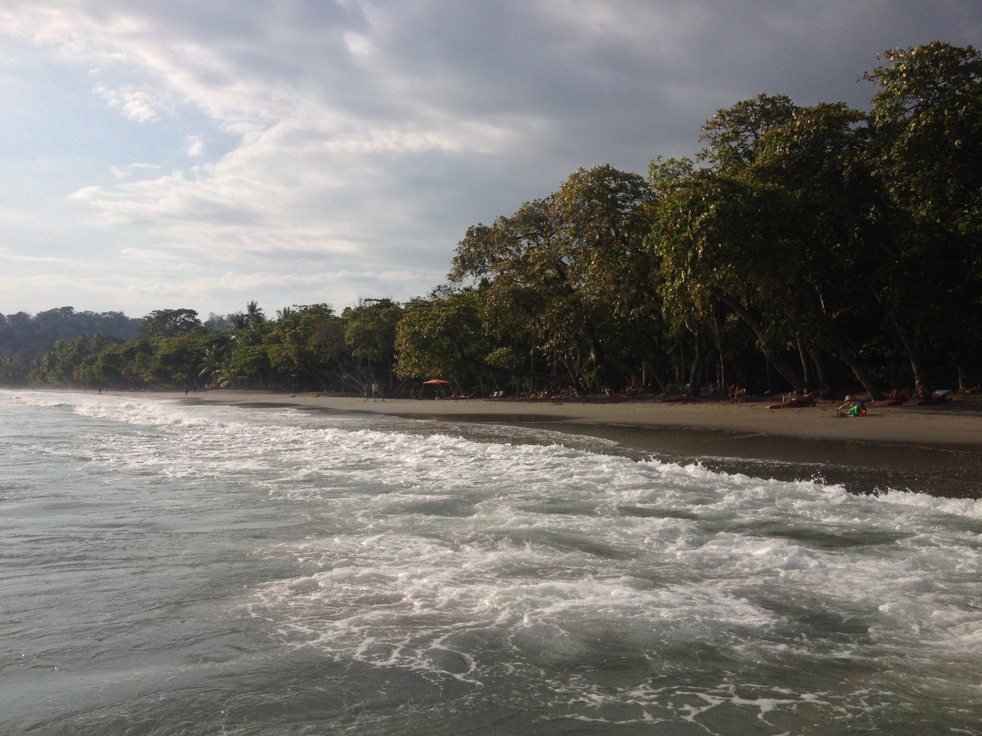 รูปถ่าย คอสตาริกา(Costa Rica) มานวยล์อันโตนีโอ(Manuel Antonio) 2015-03 131
