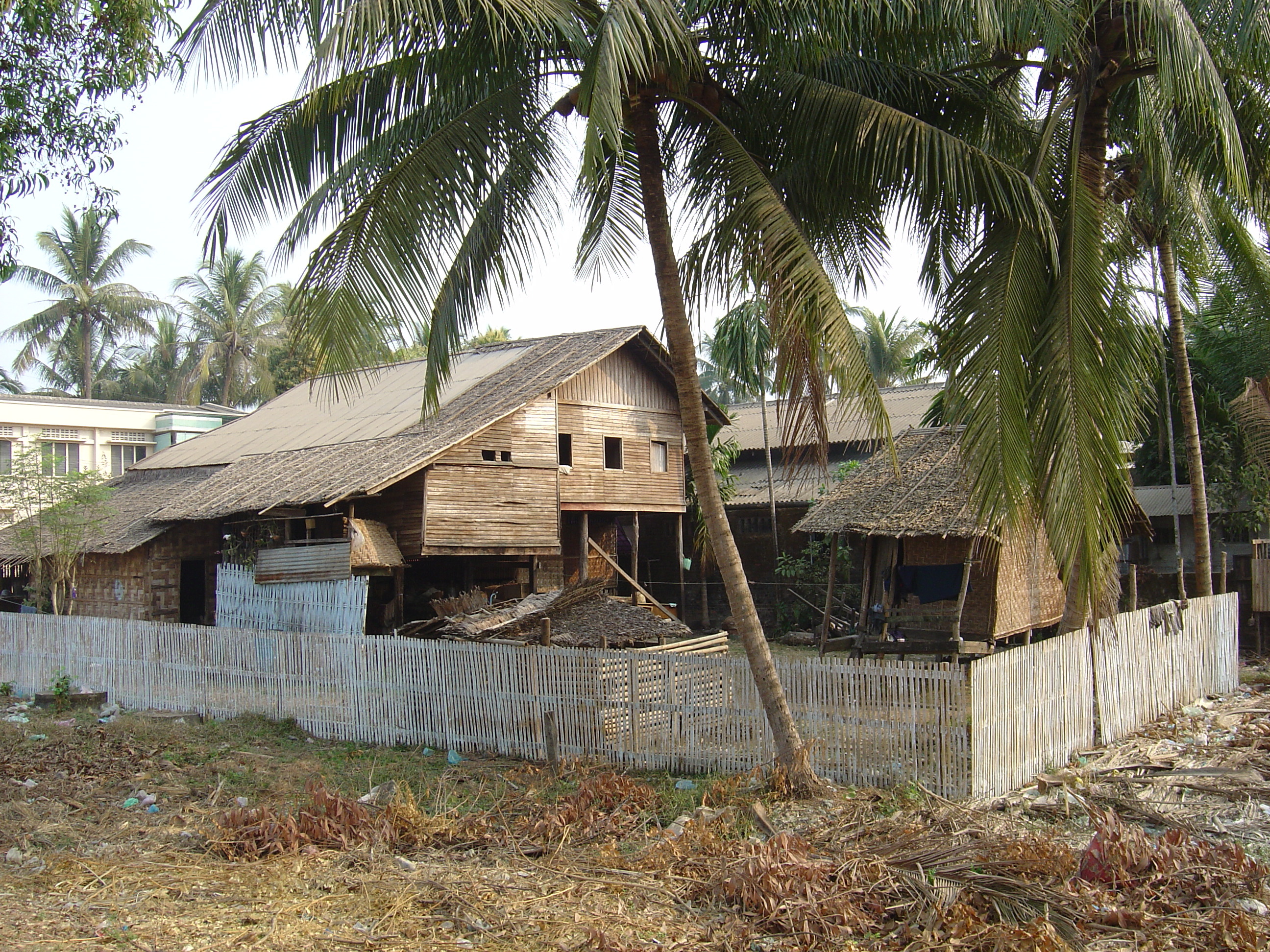 รูปถ่าย พม่า(Myanmar) ทวาย(Dawei (TAVOY)) 2005-01 96