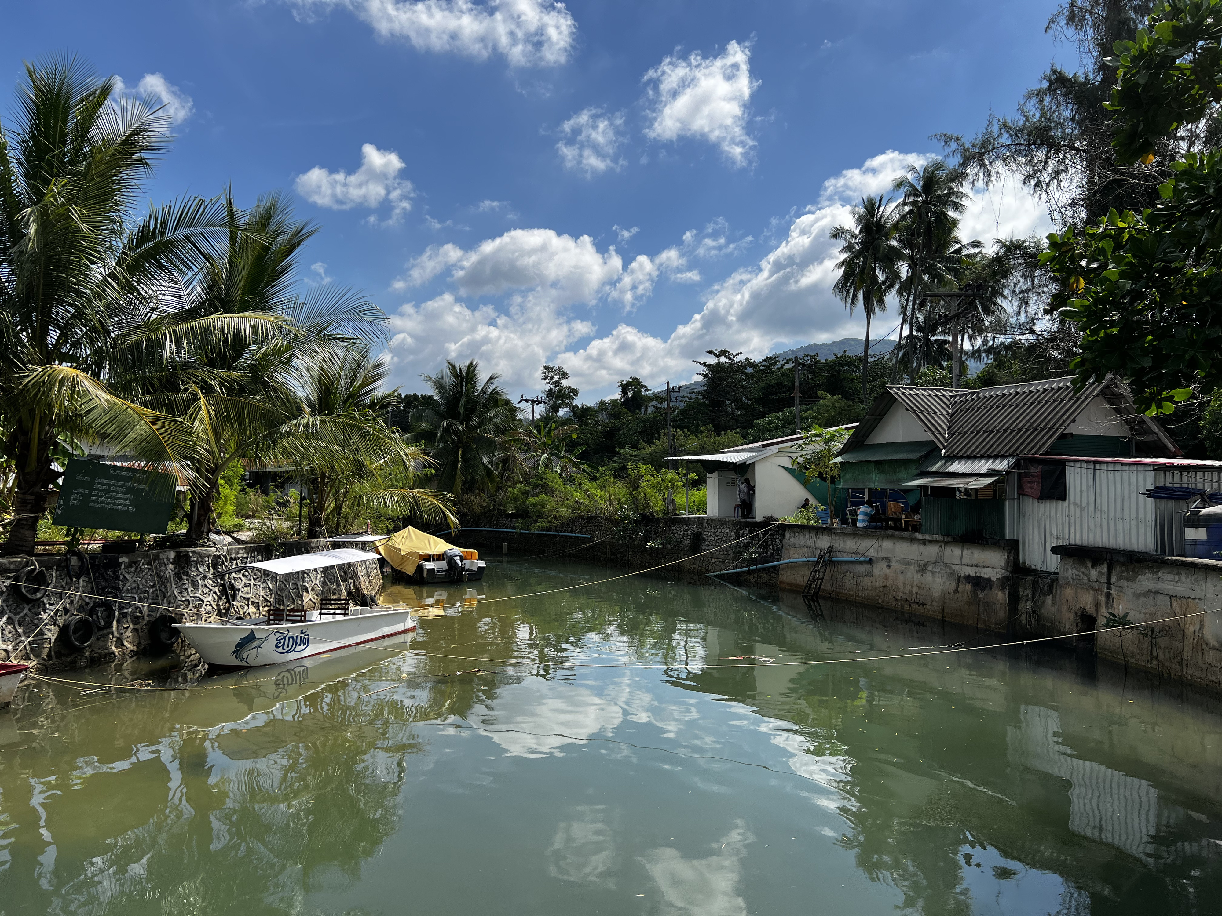 รูปถ่าย ไทย(Thailand) ภูเก็ต(Phuket) หาดบางเทา(Bang Tao Beach) 2021-12 2