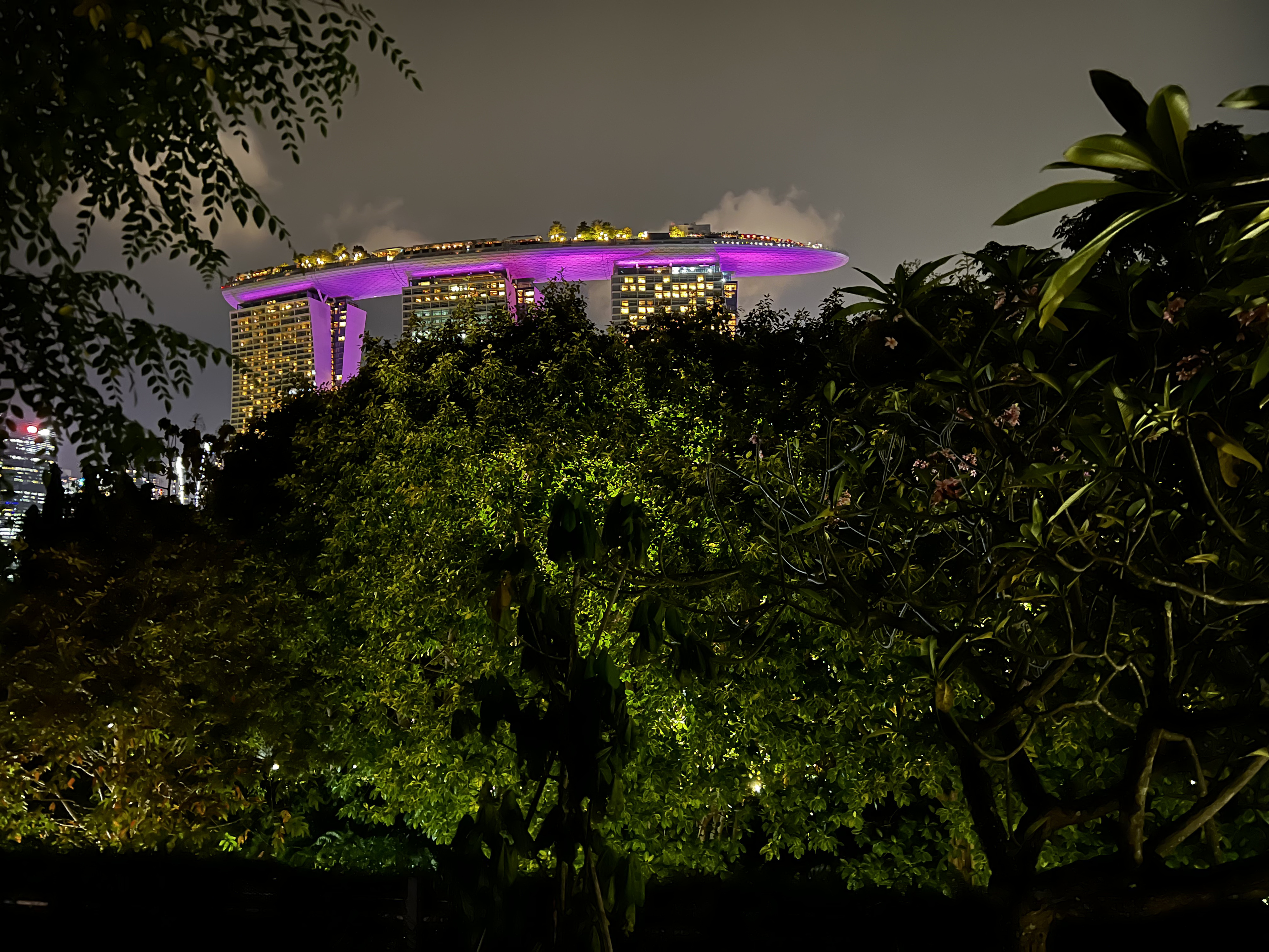 รูปถ่าย สิงคโปร์(Singapore) การ์เดนส์บายเดอะเบย์(Garden by the bay) 2023-01 5