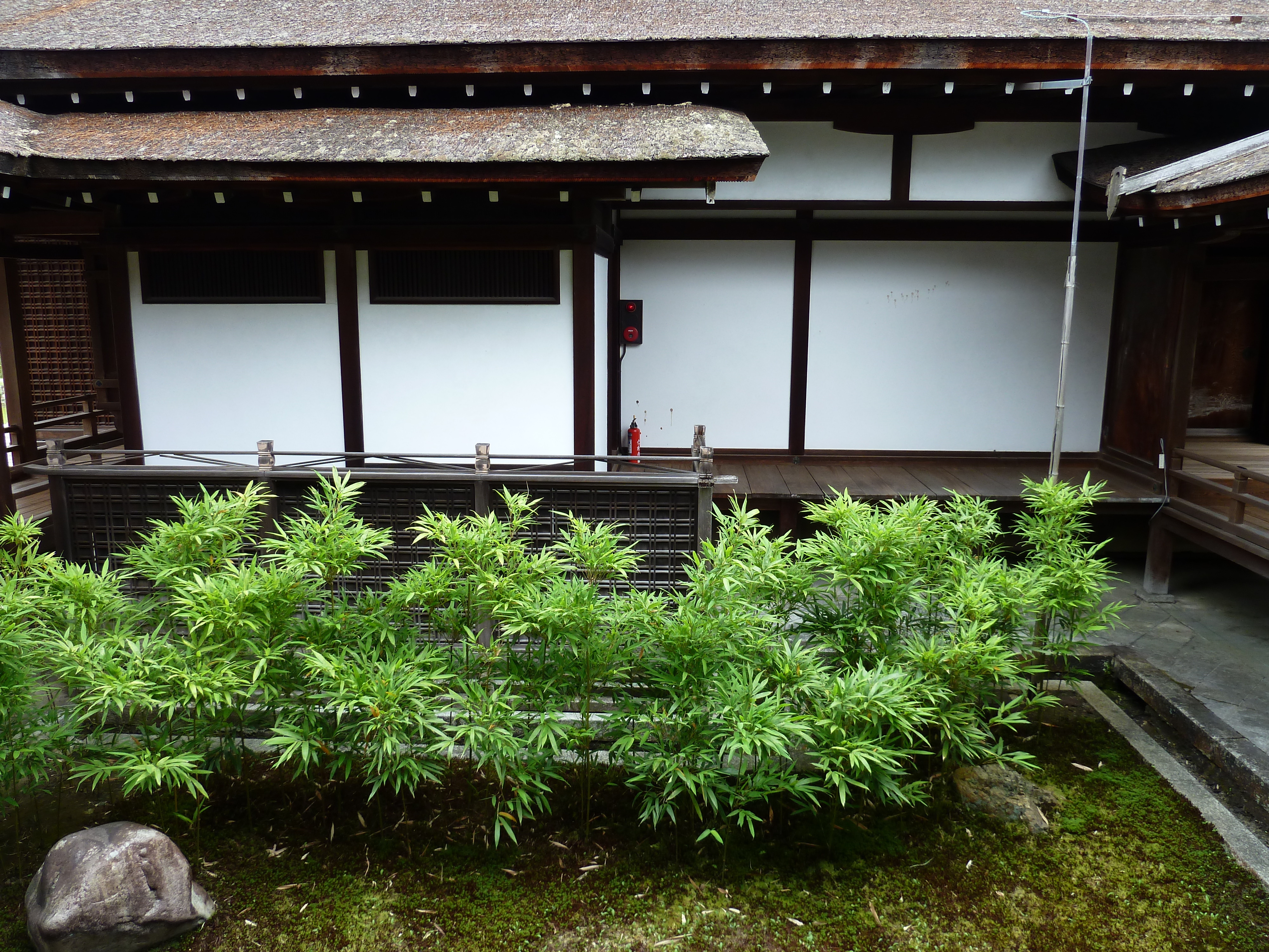 รูปถ่าย ญี่ปุ่น(Japan) เกียวโต(Kyoto) ตำหนักหลวงวัดนินนะจิ(Ninna ji imperial Residence) 2010-06 74