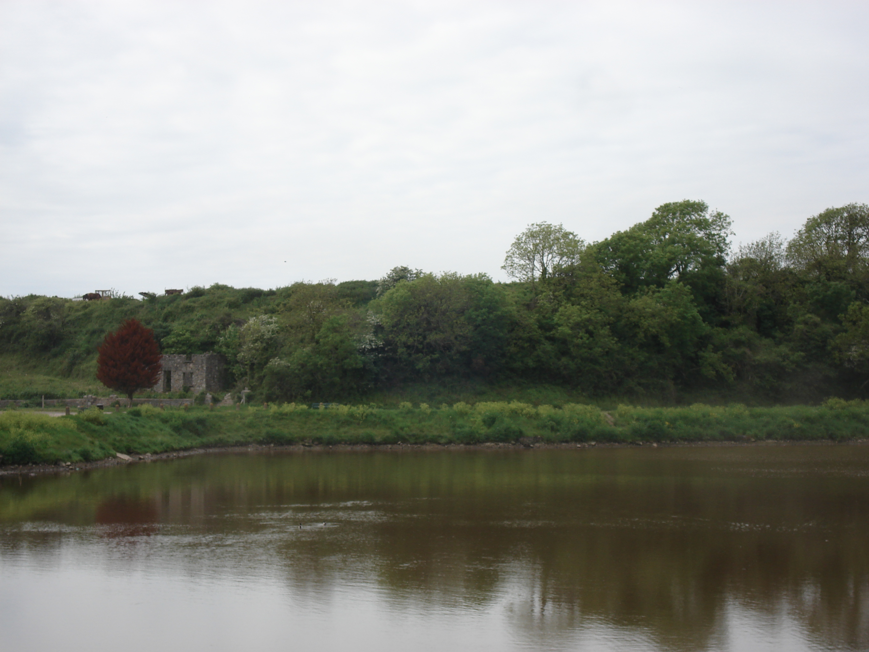 รูปถ่าย อังกฤษ(United Kingdom) เปมโบรคเชอร์(Pembrokeshire) เปมโบรค(Pembroke) 2006-05 9