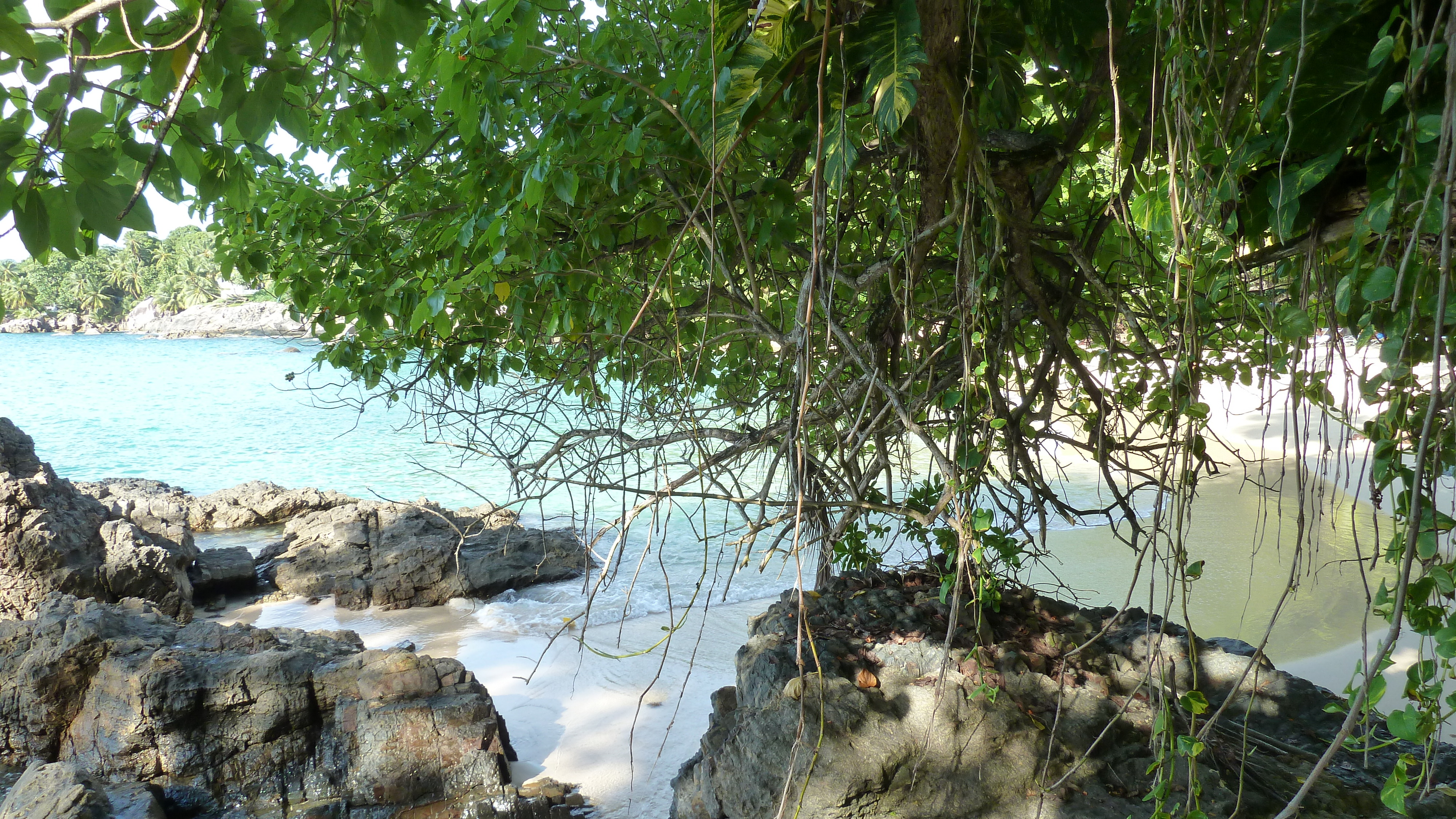 รูปถ่าย เซเชลส์(Seychelles) เกาะมาเฮ(Mahe) 2011-10 16