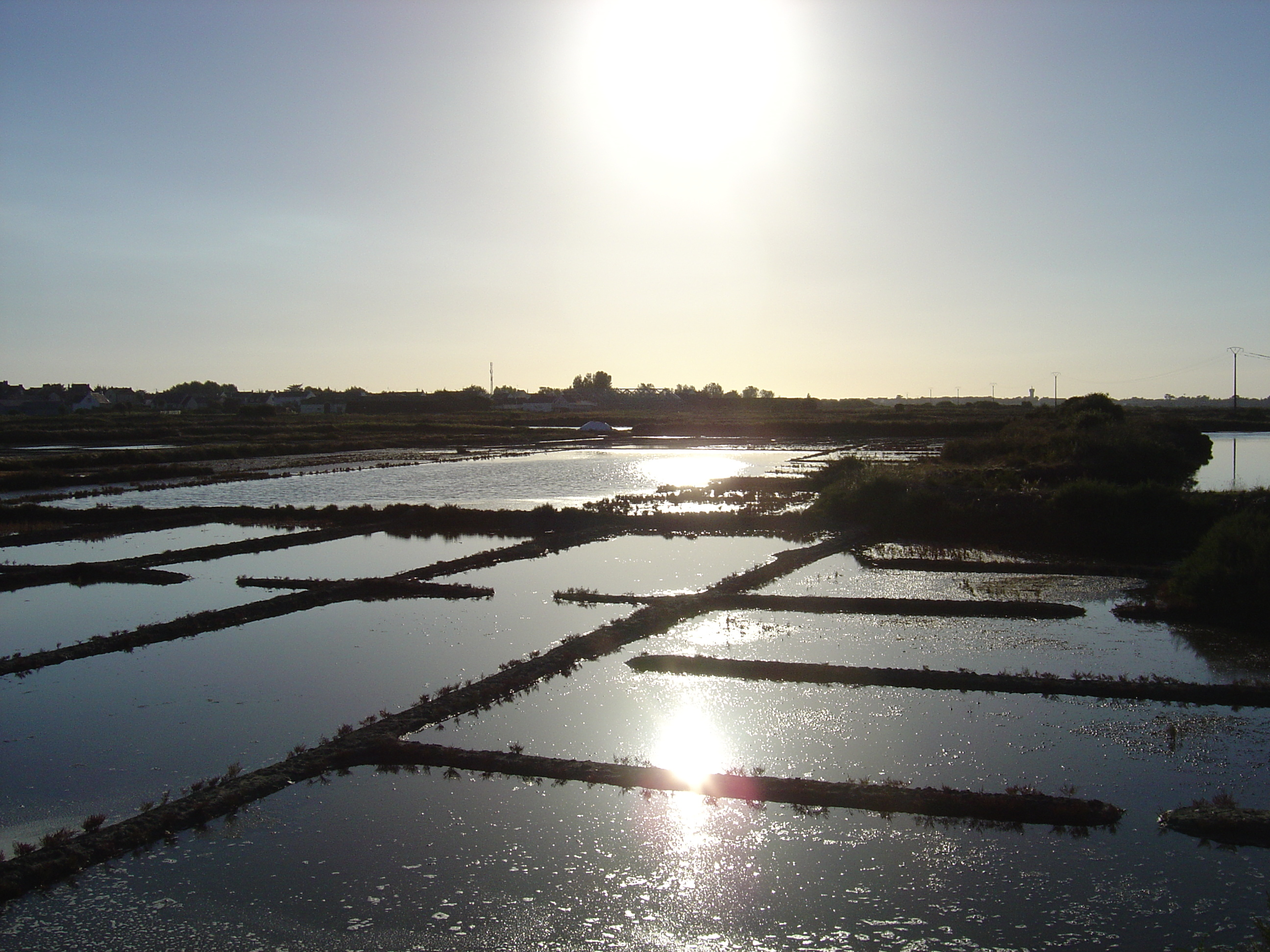 รูปถ่าย ฝรั่งเศส(France) เกรองเดอ(Guerande) 2004-08 14
