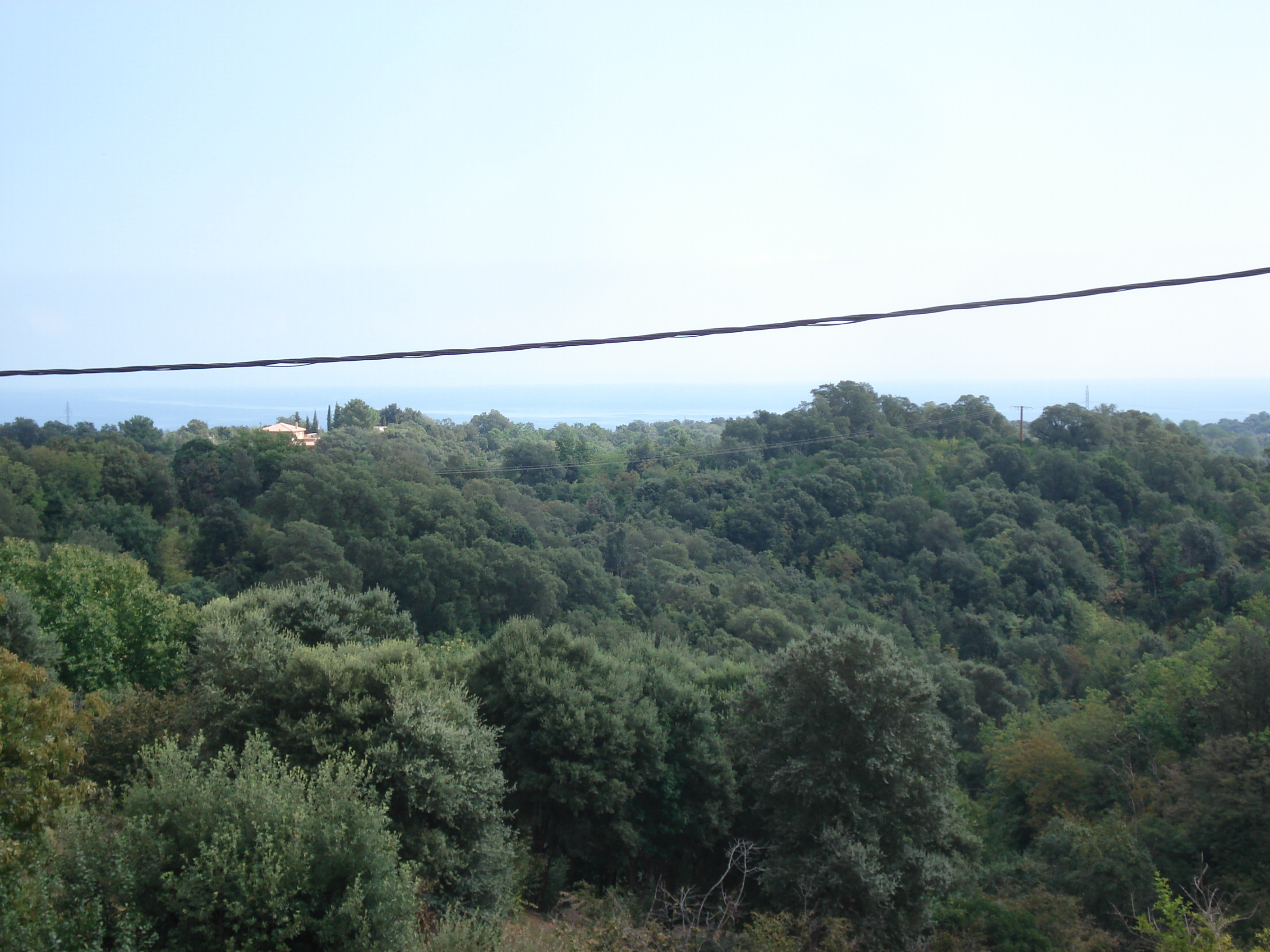 รูปถ่าย ฝรั่งเศส(France) คอร์สิคา(Corsica) เชร์วีออน(Cervione) 2006-09 52