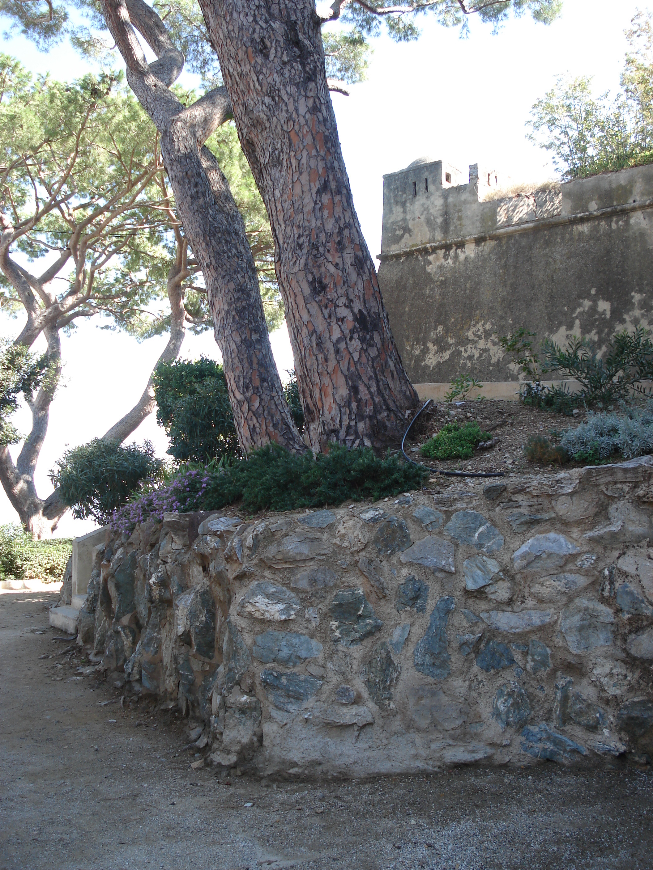 รูปถ่าย ฝรั่งเศส(France) คอร์สิคา(Corsica) บาสเทีย(Bastia) 2006-09 119