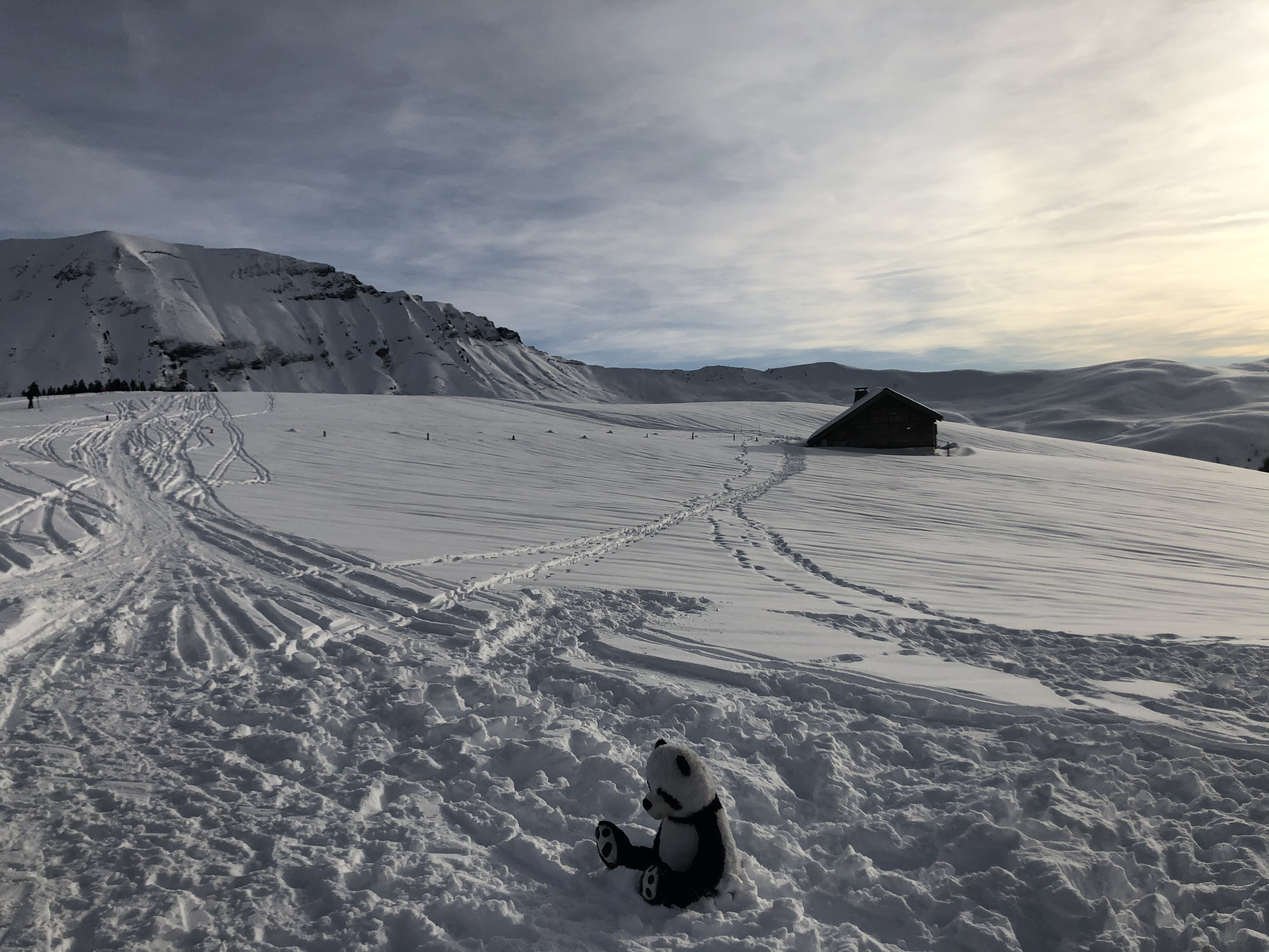 รูปถ่าย ฝรั่งเศส(France) ปรา-ซูร์-อาร์ลี(Praz sur Arly) 2019-12 325
