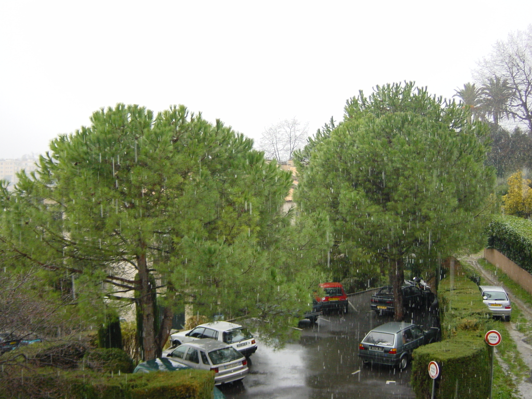 รูปถ่าย ฝรั่งเศส(France) วังซ์(Vence) 2001-02 23