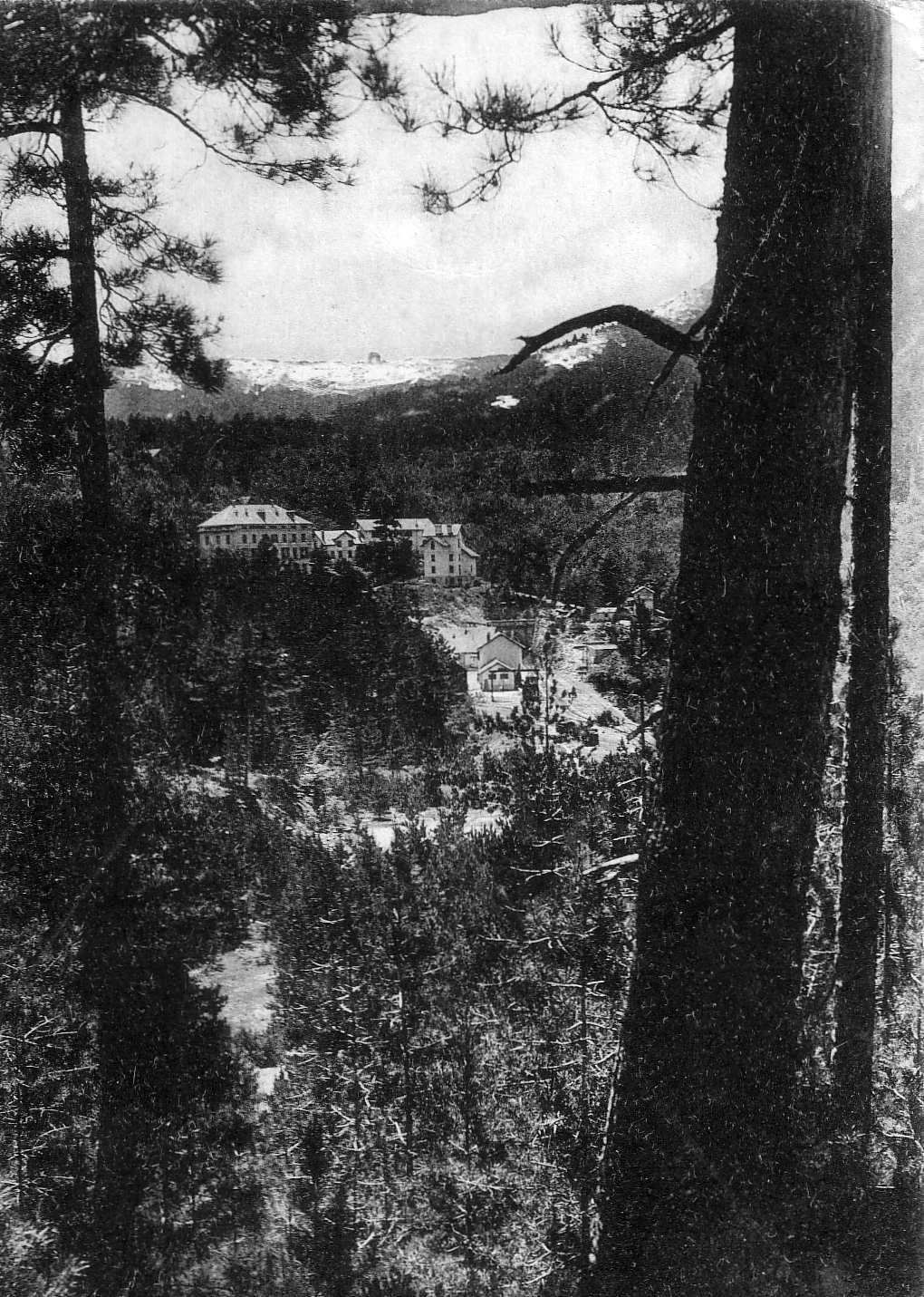 รูปถ่าย ฝรั่งเศส(France) คอร์สิคา(Corsica) โปสการ์ดเก่า(Old Postcards) 1900-01 271