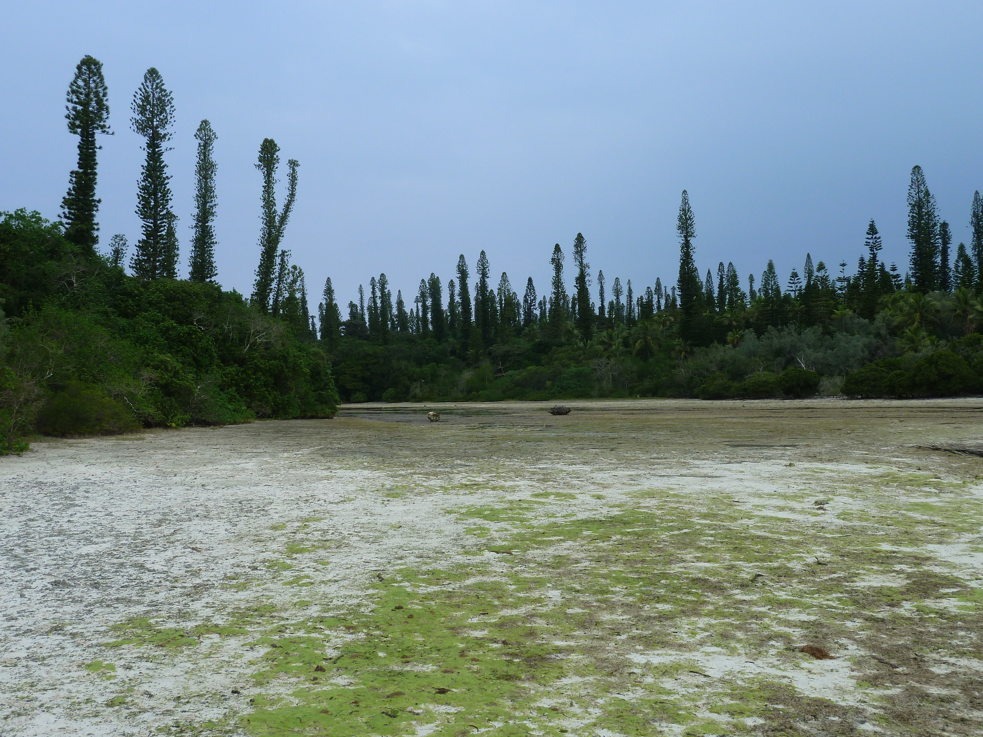 รูปถ่าย นิวแคลิโดเนีย(New Caledonia) เกาะต้นสน(Ile des pins) อ่าวโอโร(Oro Bay) 2010-05 5