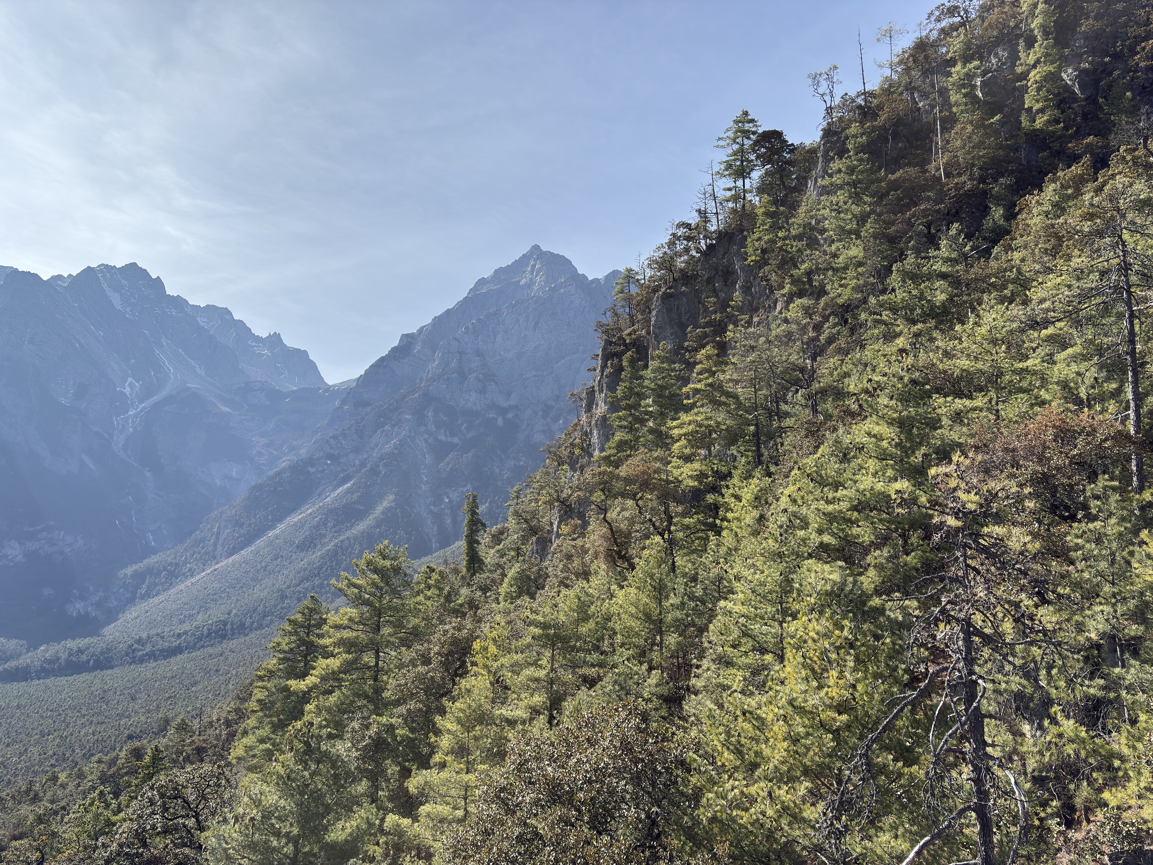 รูปถ่าย จีน(China) ลี่เจียง(Lijiang) หุบเขาบลูมูน(Blue moon valley) 2026-01 35