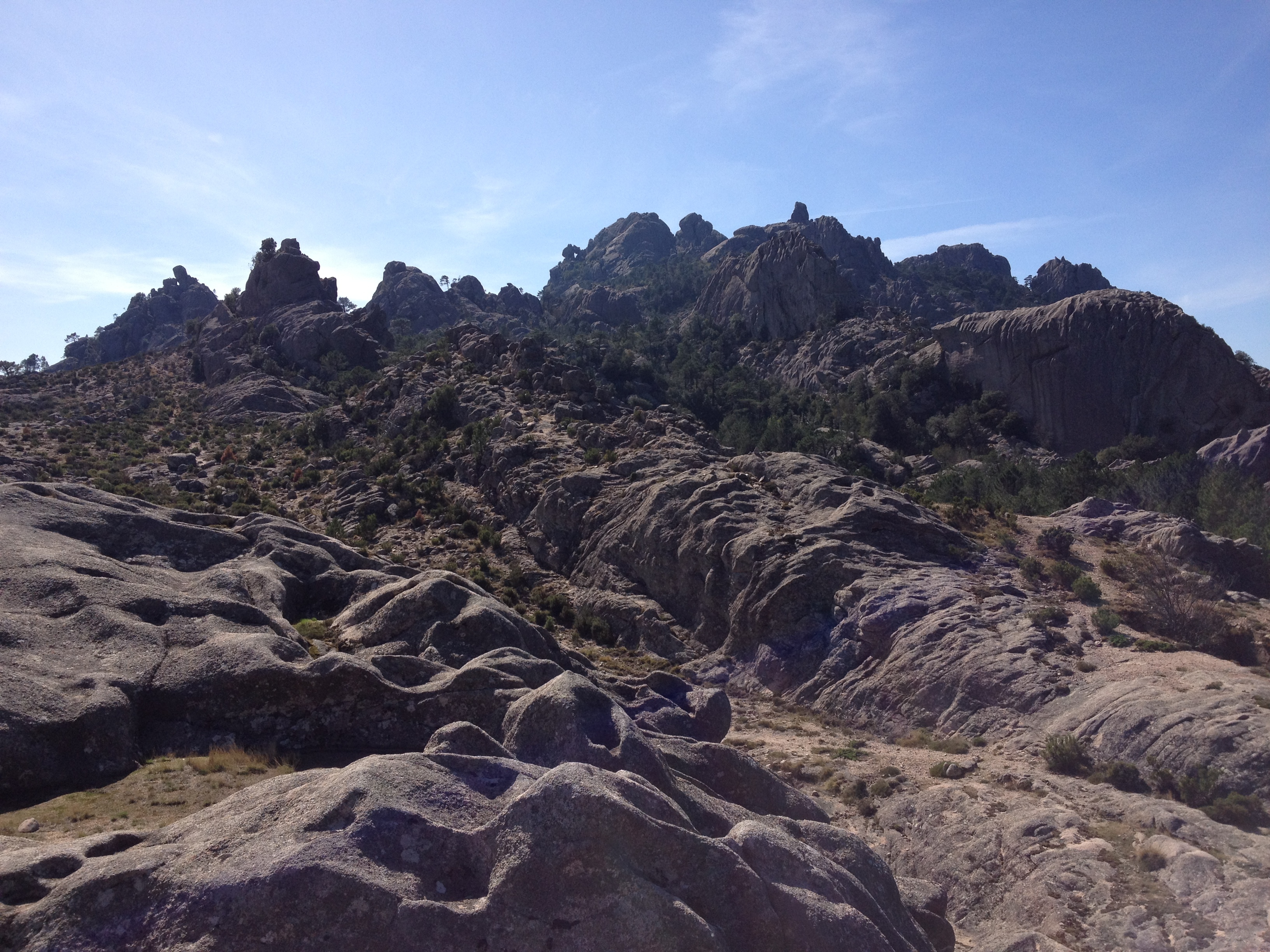 รูปถ่าย ฝรั่งเศส(France) คอร์สิคา(Corsica) ป่าลอสเปดาเล(L'ospedale Forest) 2012-09 12