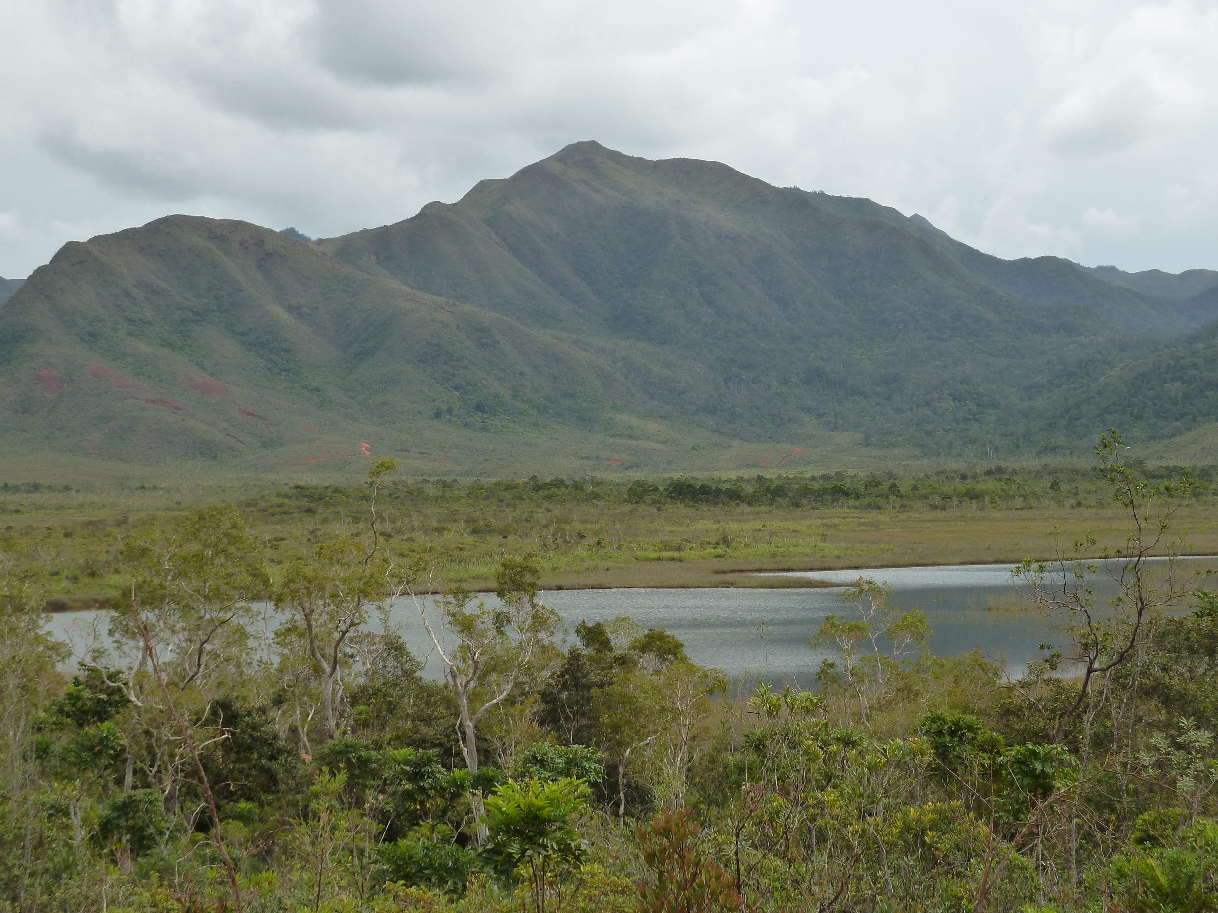 รูปถ่าย นิวแคลิโดเนีย(New Caledonia) อุทยานริเวียร์เบลอ(Parc de la Riviere Bleue) 2010-05 37
