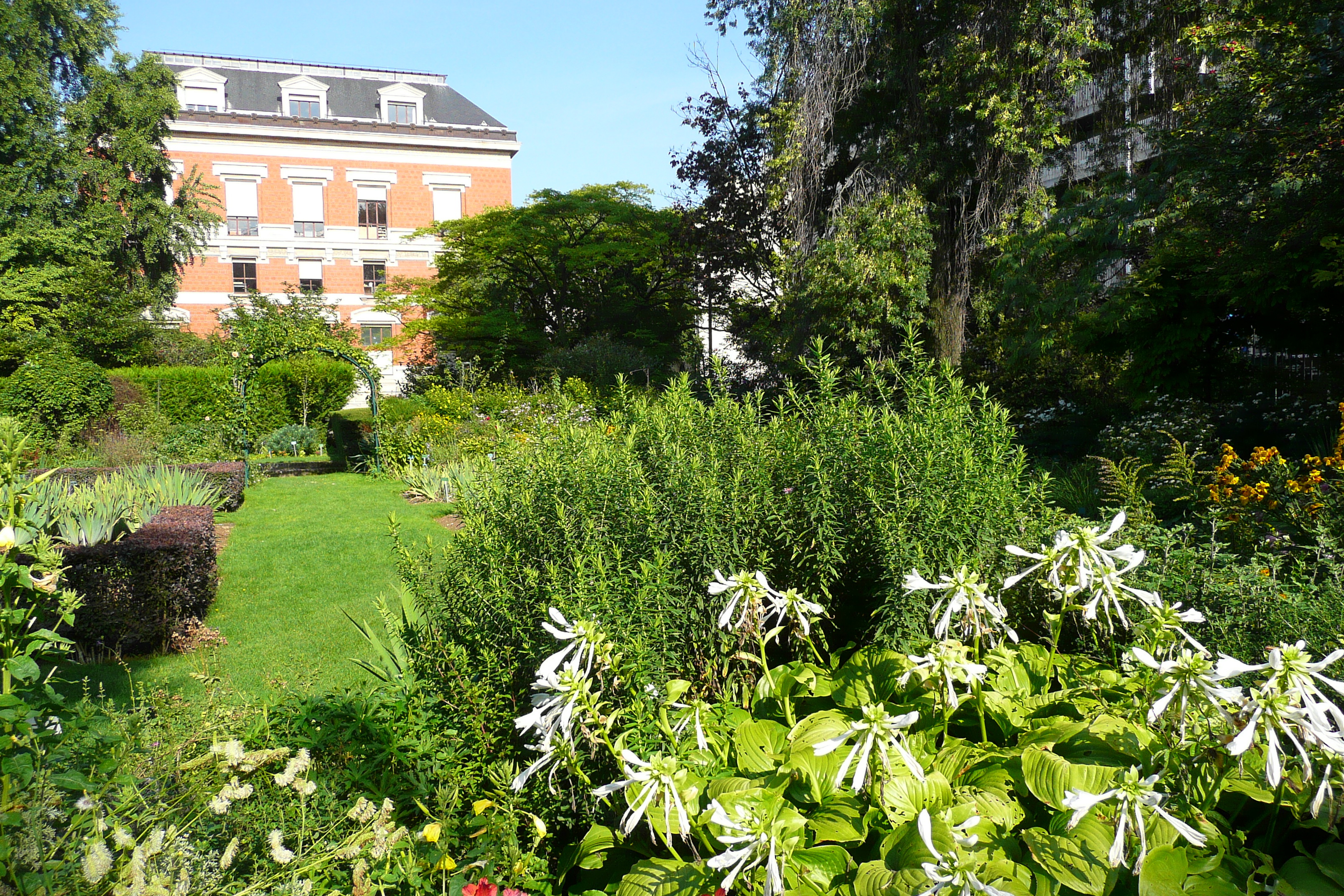 รูปถ่าย ฝรั่งเศส(France) ปารีส(Paris) สวนพันธ์ุพืช(Jardin des Plantes) 2007-08 33