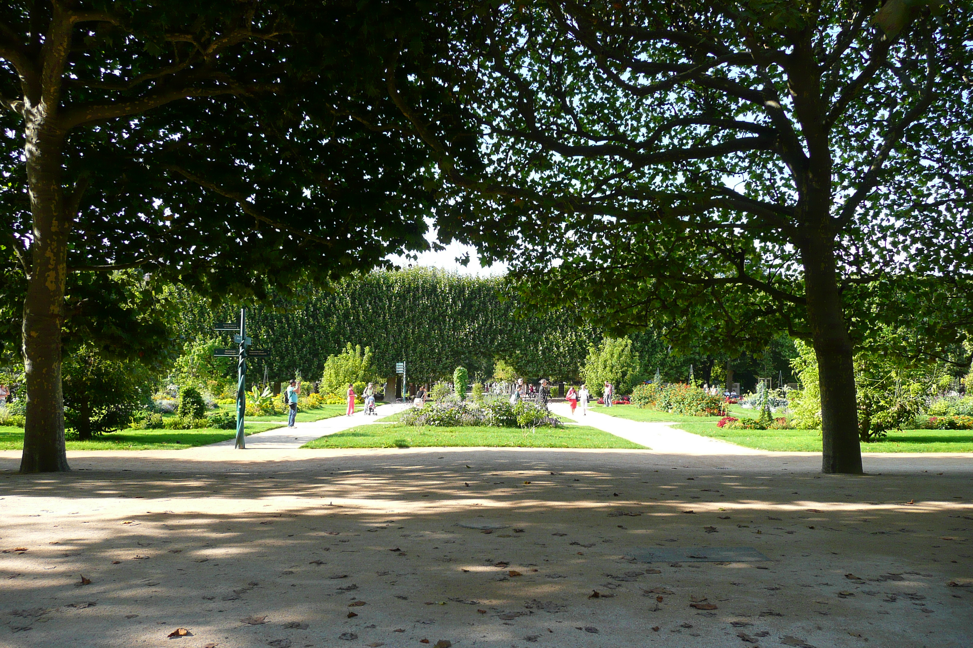 รูปถ่าย ฝรั่งเศส(France) ปารีส(Paris) สวนพันธ์ุพืช(Jardin des Plantes) 2007-08 25