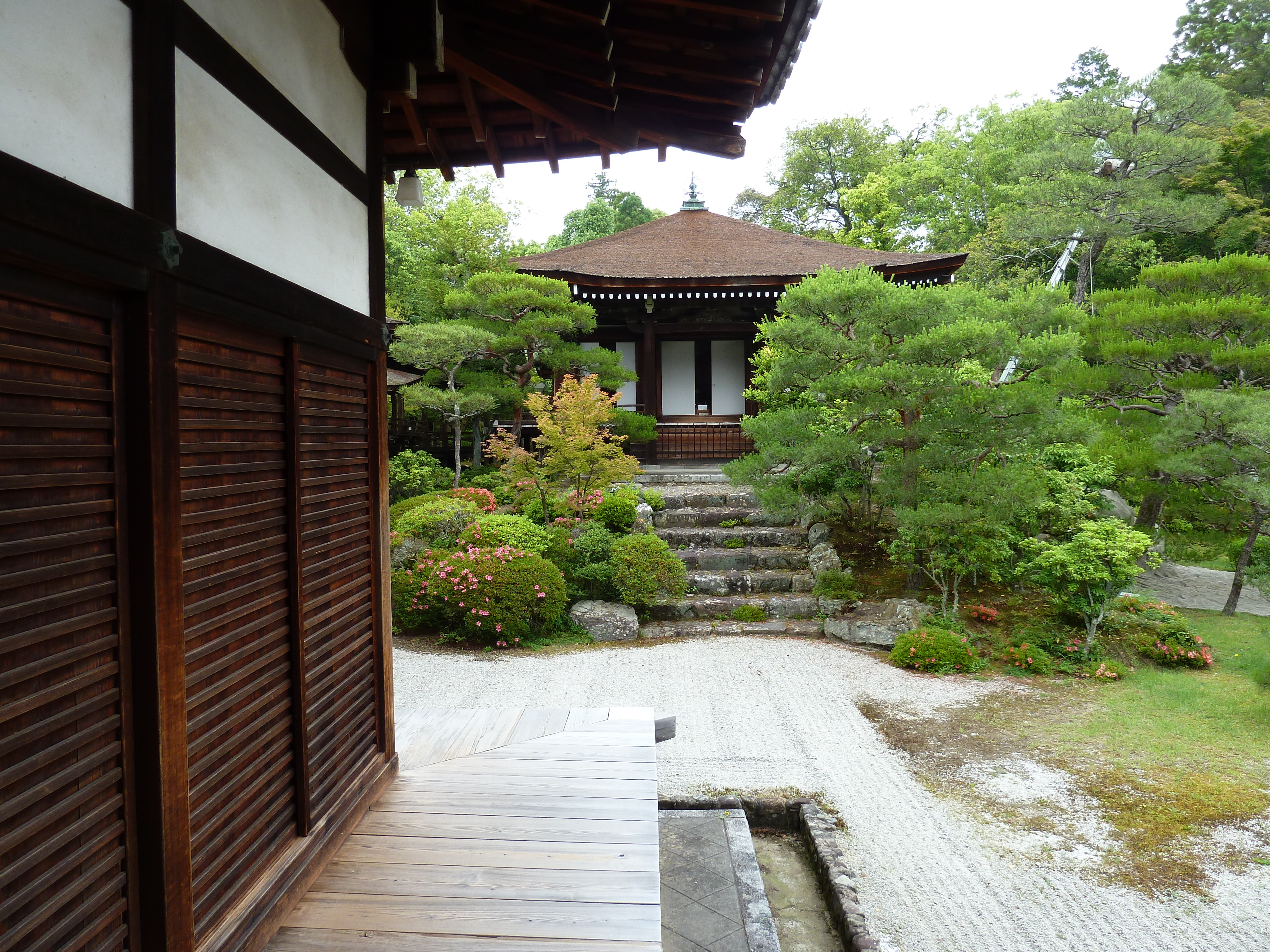 รูปถ่าย ญี่ปุ่น(Japan) เกียวโต(Kyoto) ตำหนักหลวงวัดนินนะจิ(Ninna ji imperial Residence) 2010-06 13