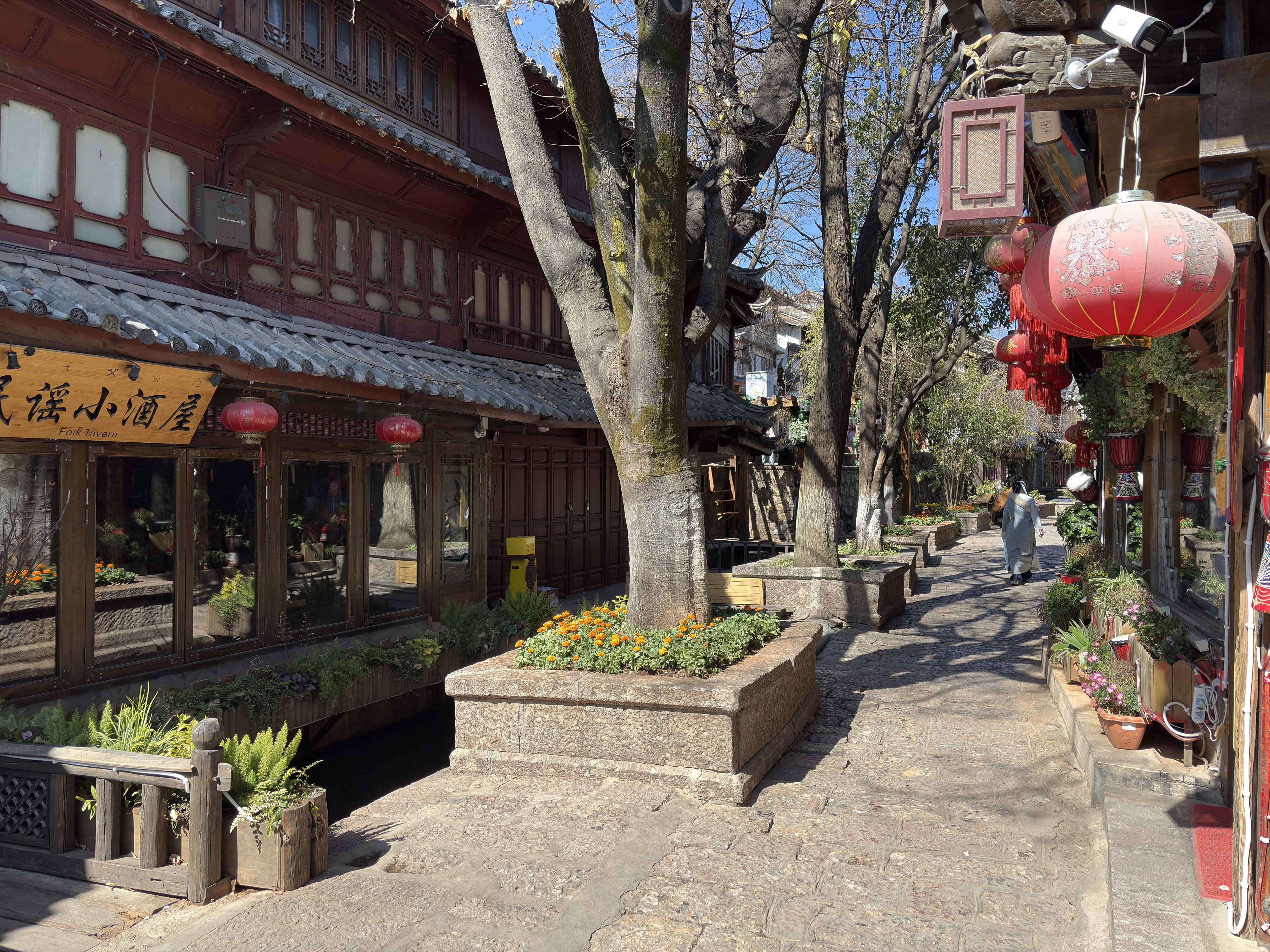 รูปถ่าย จีน(China) ลี่เจียง(Lijiang) 2026-01 429