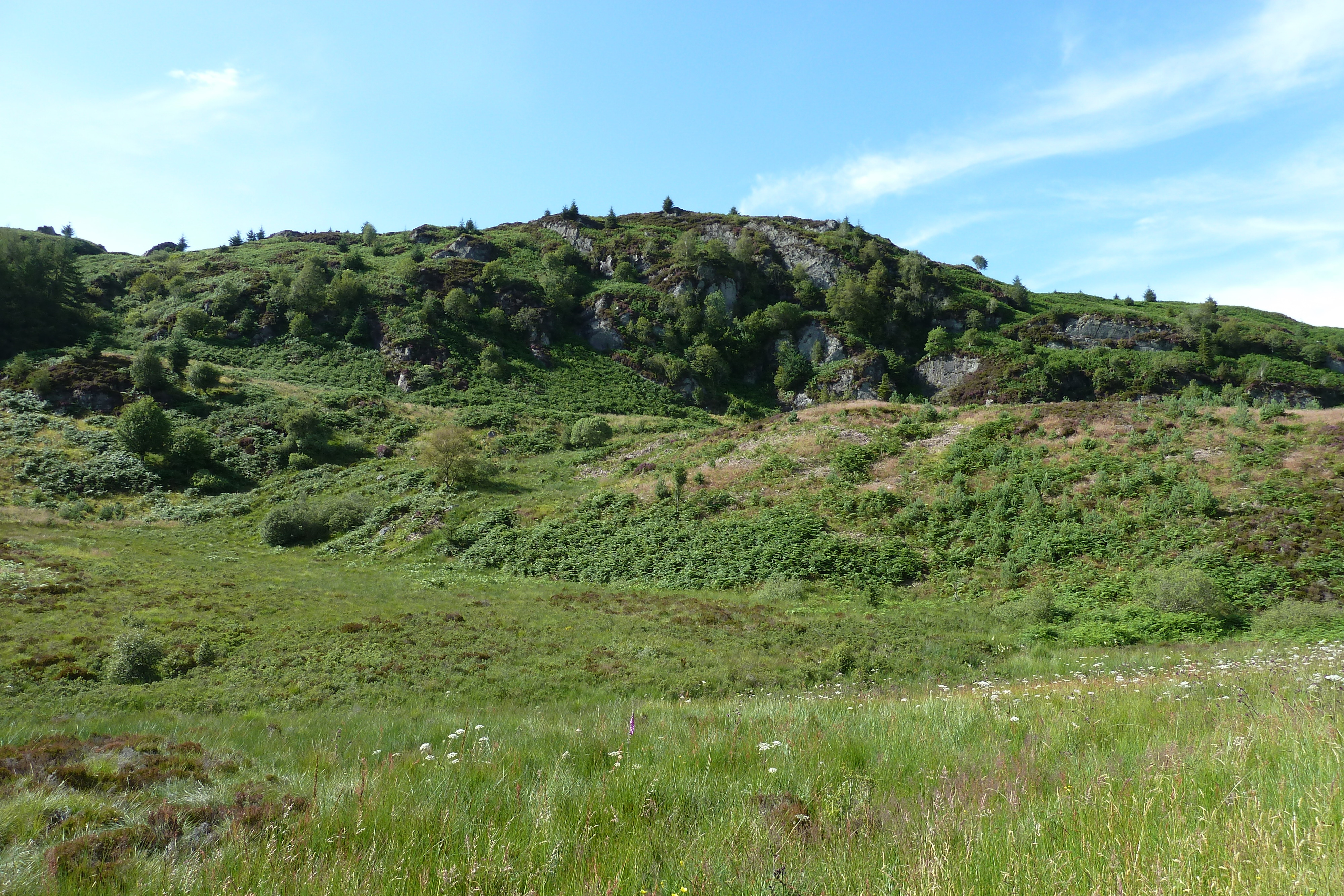 รูปถ่าย อังกฤษ(United Kingdom) ทรอสซักส์(The Trossachs) 2011-07 10