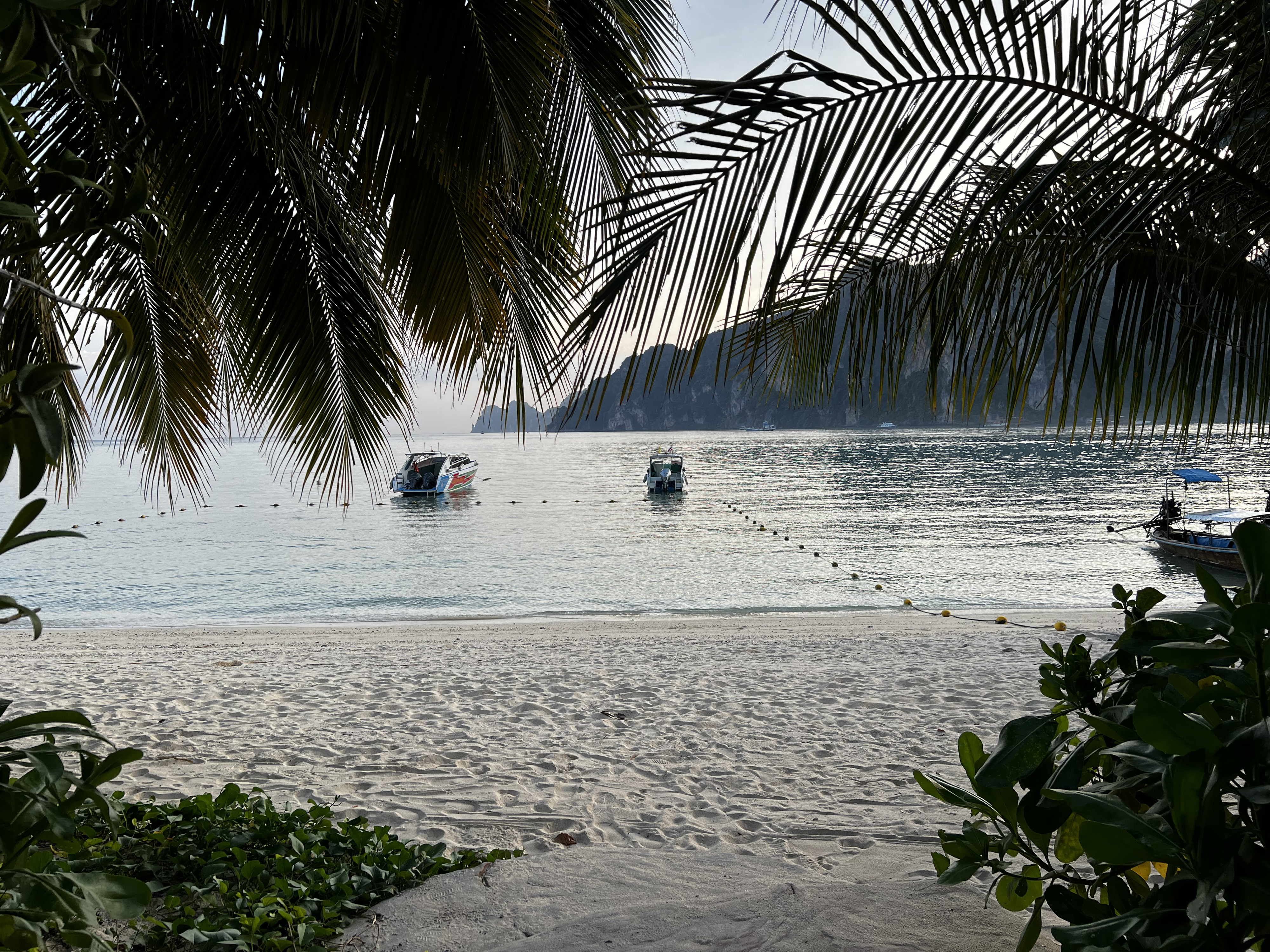 รูปถ่าย ไทย(Thailand) เกาะพีพีดอน(Ko Phi Phi Don) 2021-12 55