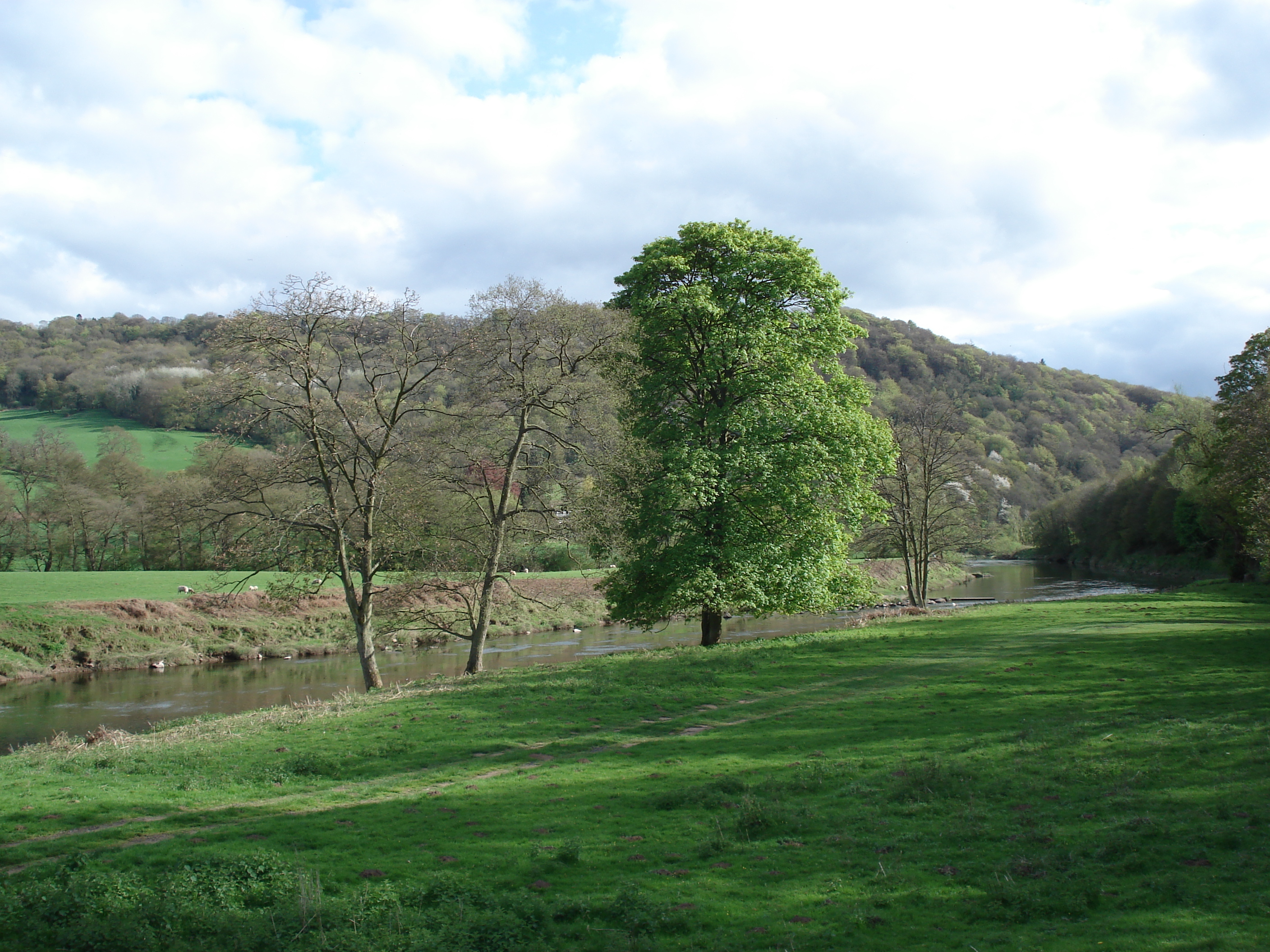 รูปถ่าย อังกฤษ(United Kingdom) หุบเขาไวย์(Wye Valley) 2006-05 20