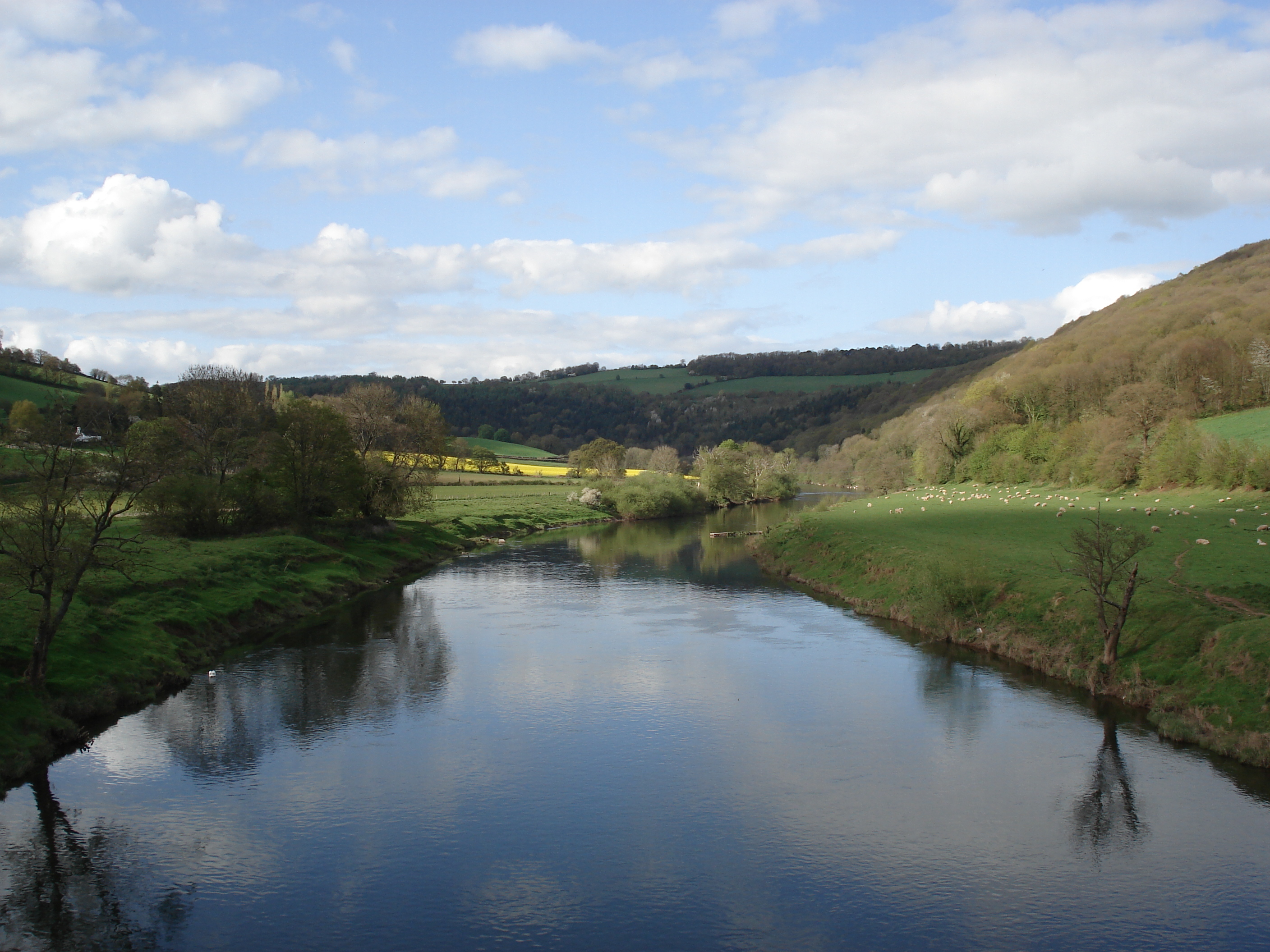 รูปถ่าย อังกฤษ(United Kingdom) หุบเขาไวย์(Wye Valley) 2006-05 30