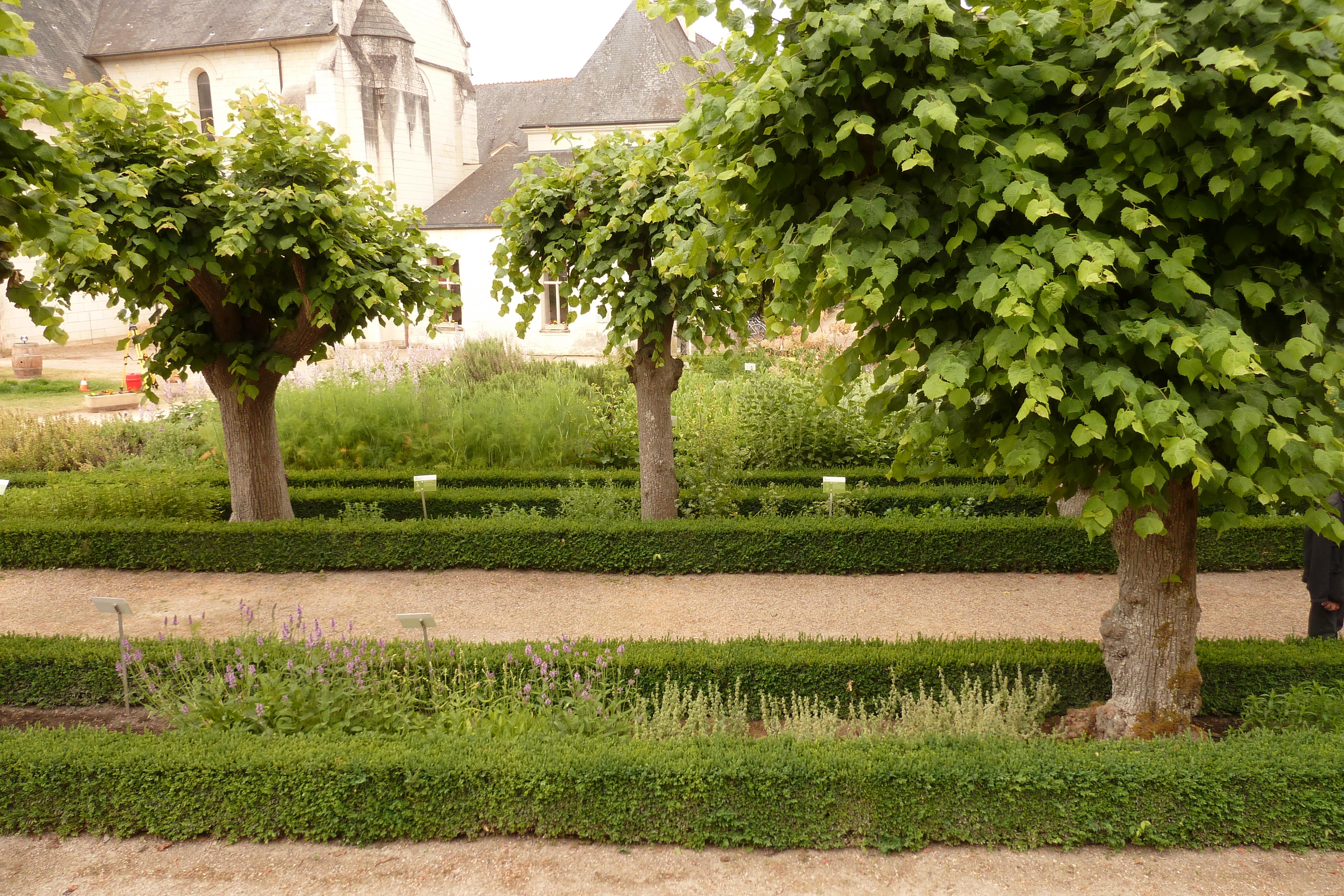 รูปถ่าย ฝรั่งเศส(France) ฟงเตอโวร์(Fontevraud) 2011-05 175