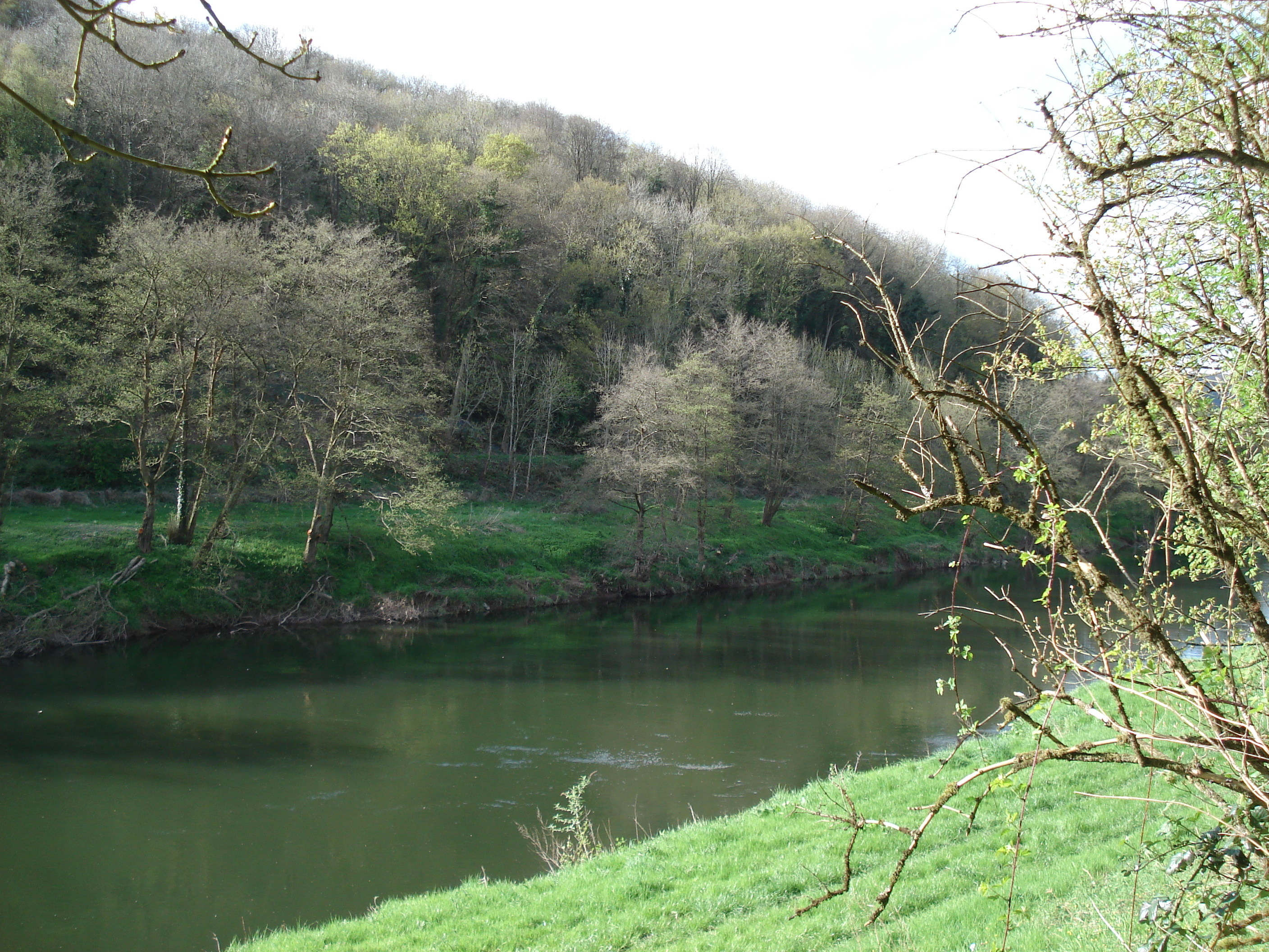 รูปถ่าย อังกฤษ(United Kingdom) หุบเขาไวย์(Wye Valley) 2006-05 38