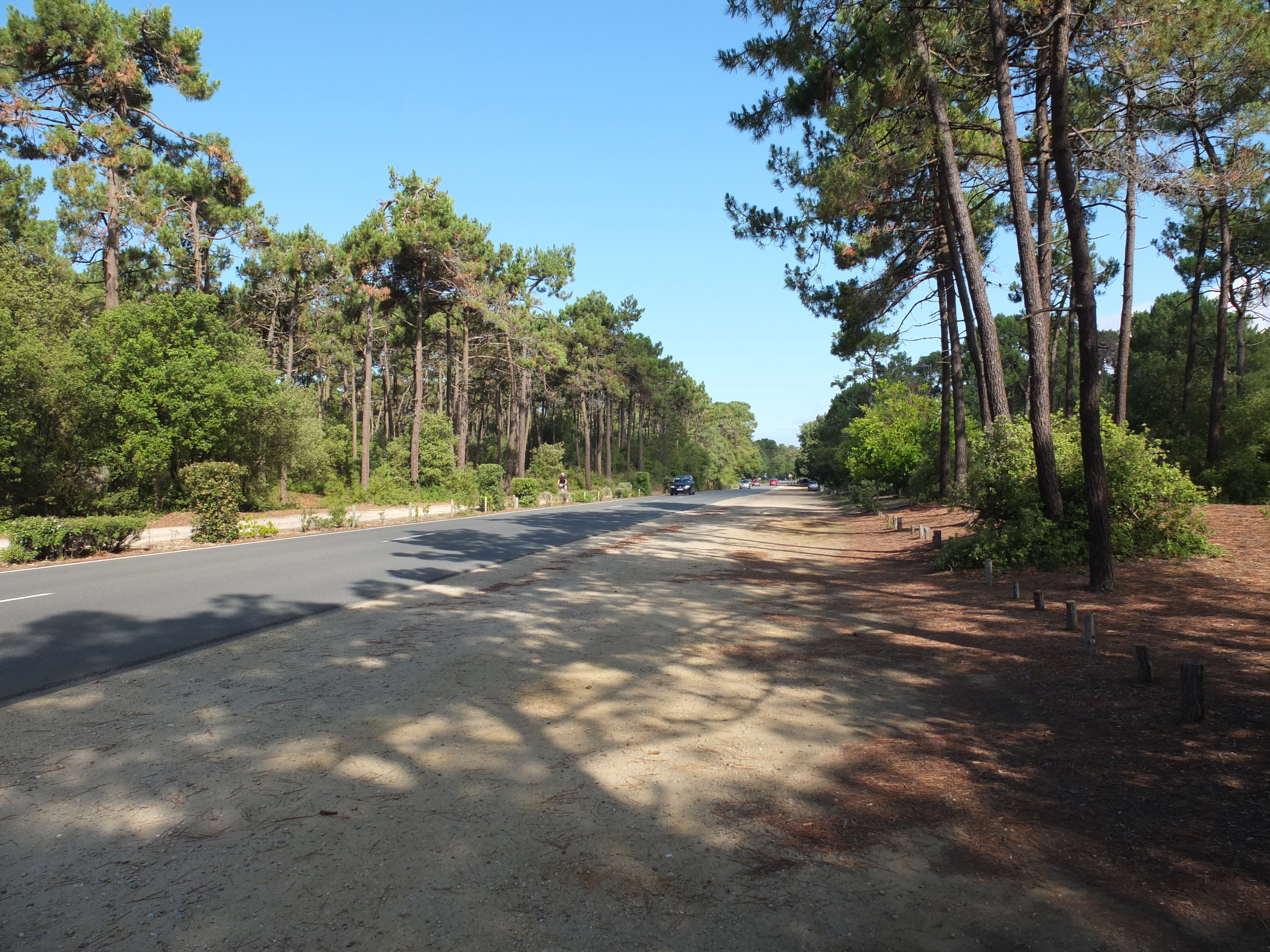 รูปถ่าย ฝรั่งเศส(France) แซ็งตีแลร์เดอรีเย(Saint Hilaire de Riez) 2012-07 4