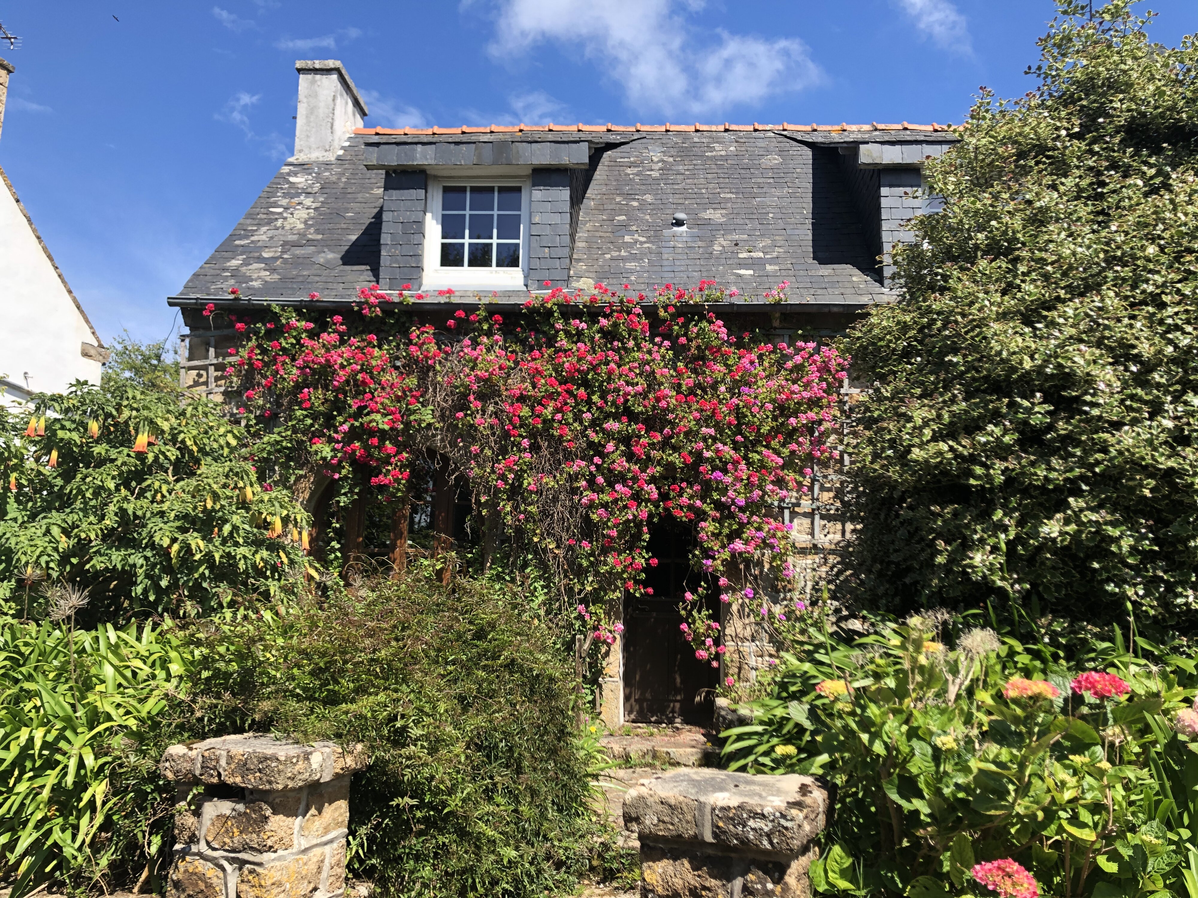 รูปถ่าย ฝรั่งเศส(France) เกาะเบรอา(Brehat Island) 2020-06 37
