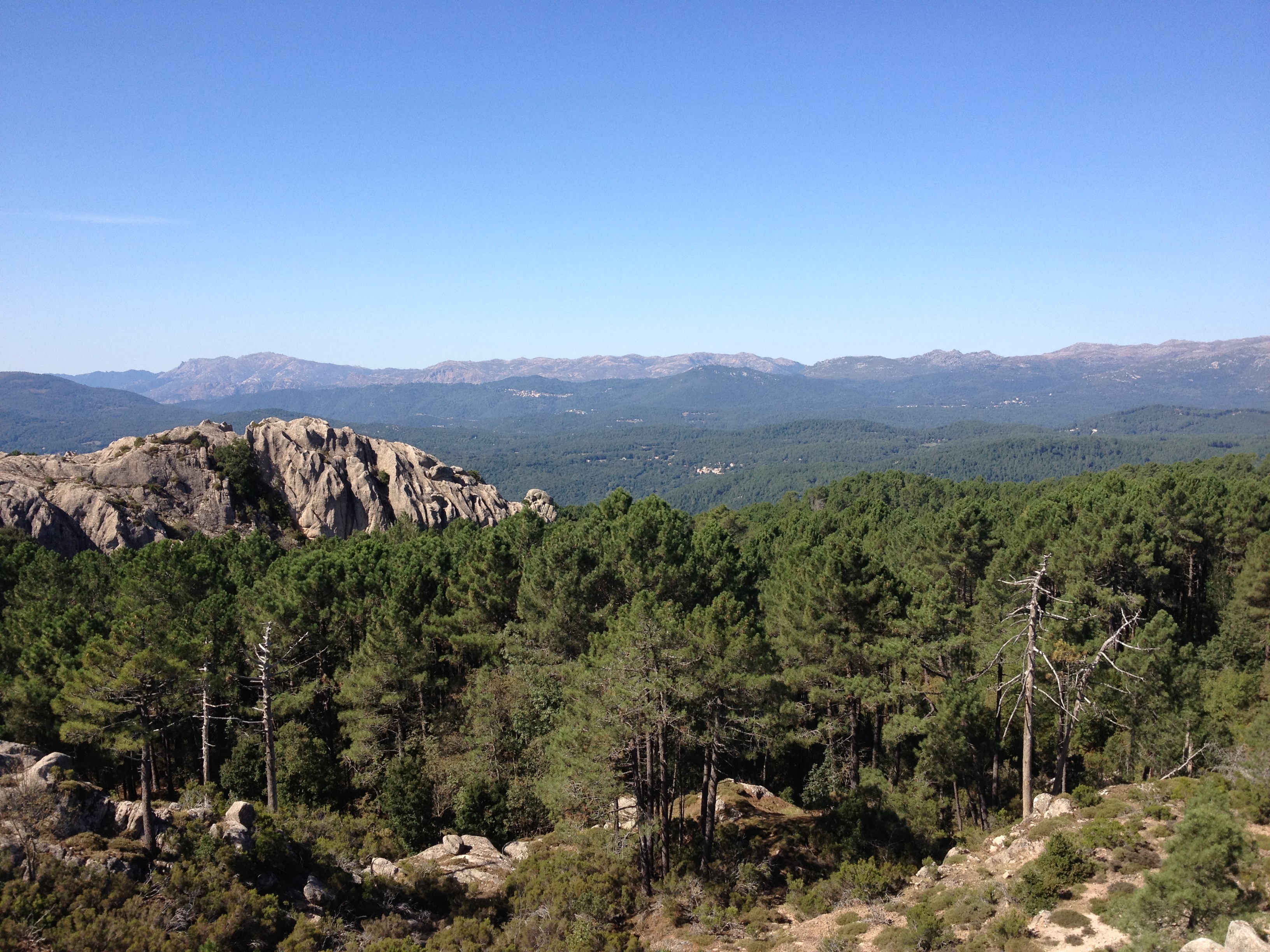 รูปถ่าย ฝรั่งเศส(France) คอร์สิคา(Corsica) ป่าลอสเปดาเล(L'ospedale Forest) 2012-09 54