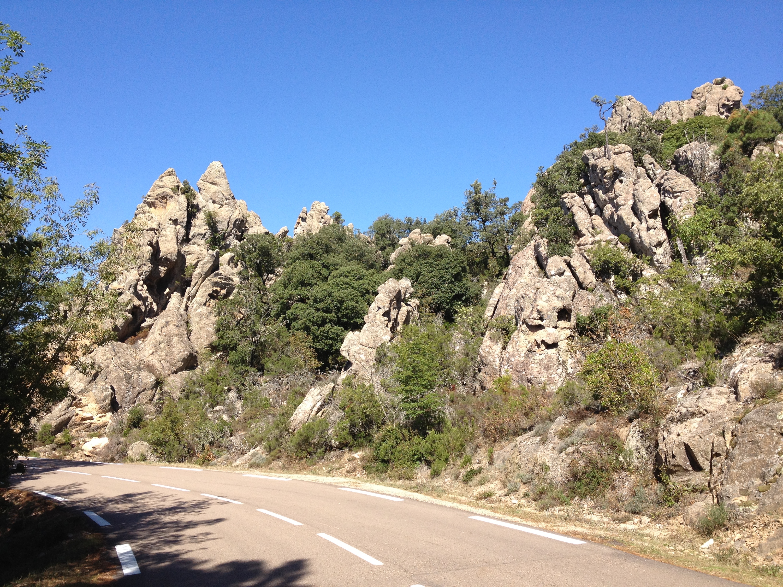รูปถ่าย ฝรั่งเศส(France) คอร์สิคา(Corsica) ป่าลอสเปดาเล(L'ospedale Forest) 2012-09 39