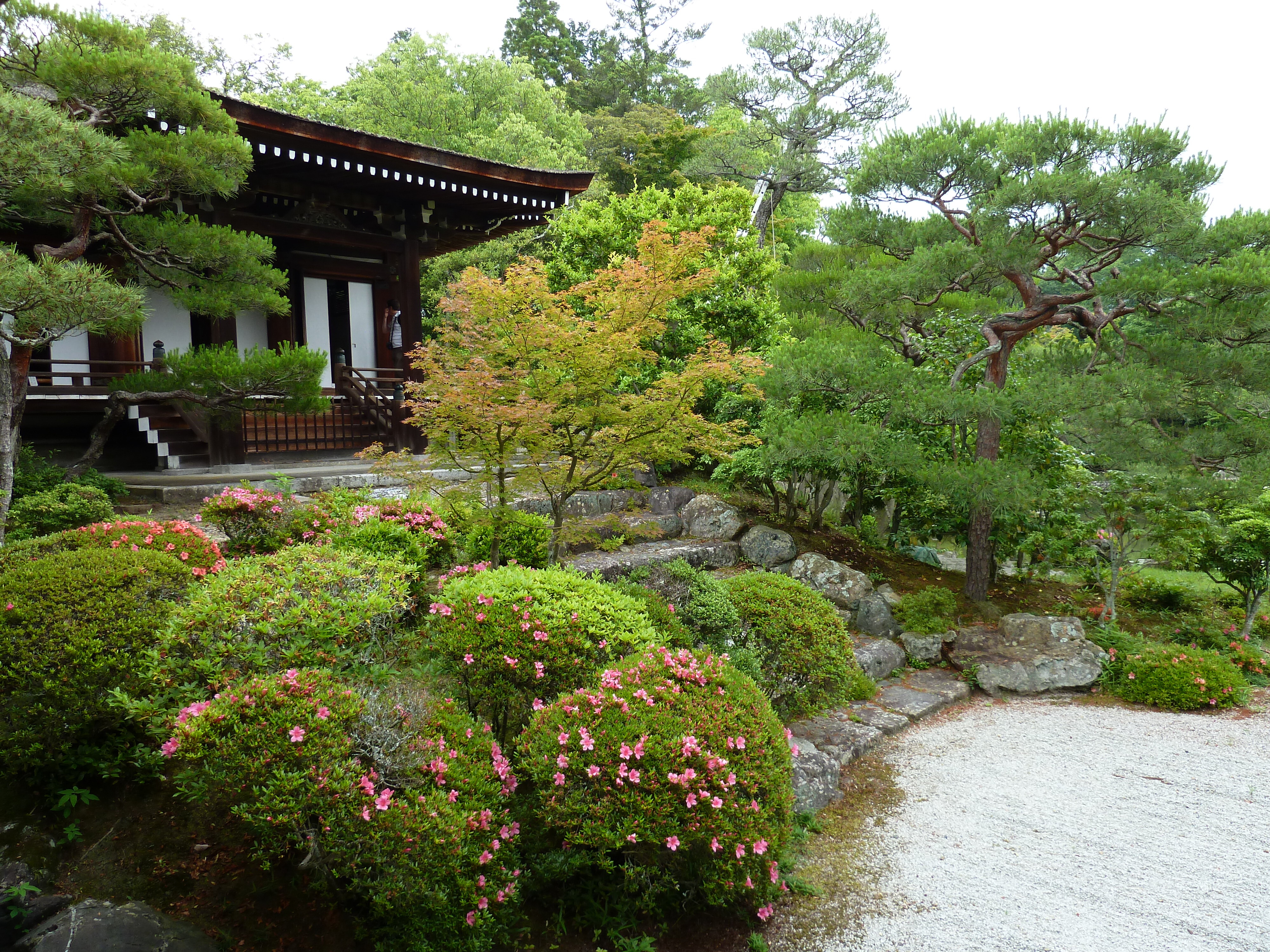 รูปถ่าย ญี่ปุ่น(Japan) เกียวโต(Kyoto) ตำหนักหลวงวัดนินนะจิ(Ninna ji imperial Residence) 2010-06 81