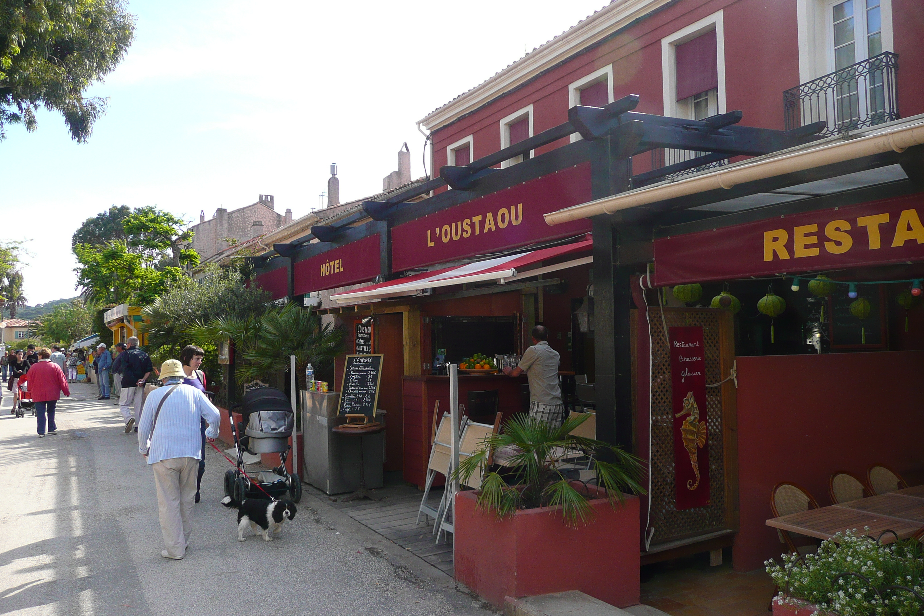 รูปถ่าย ฝรั่งเศส(France) เกาะปอร์เกอรอล(Porquerolles Island) ปอร์เกอรอล(Porquerolles) 2008-05 0