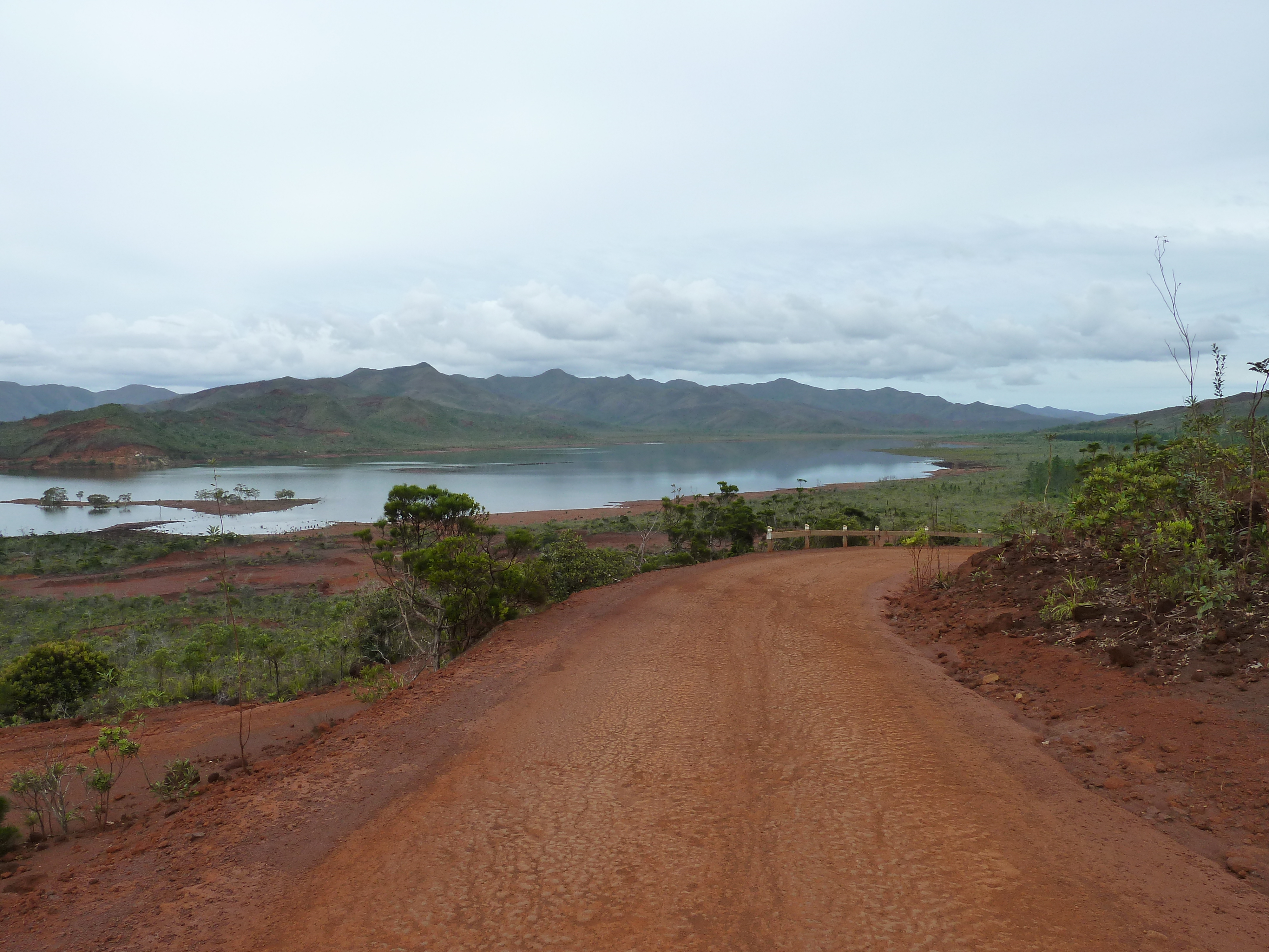 รูปถ่าย นิวแคลิโดเนีย(New Caledonia) อุทยานริเวียร์เบลอ(Parc de la Riviere Bleue) 2010-05 97