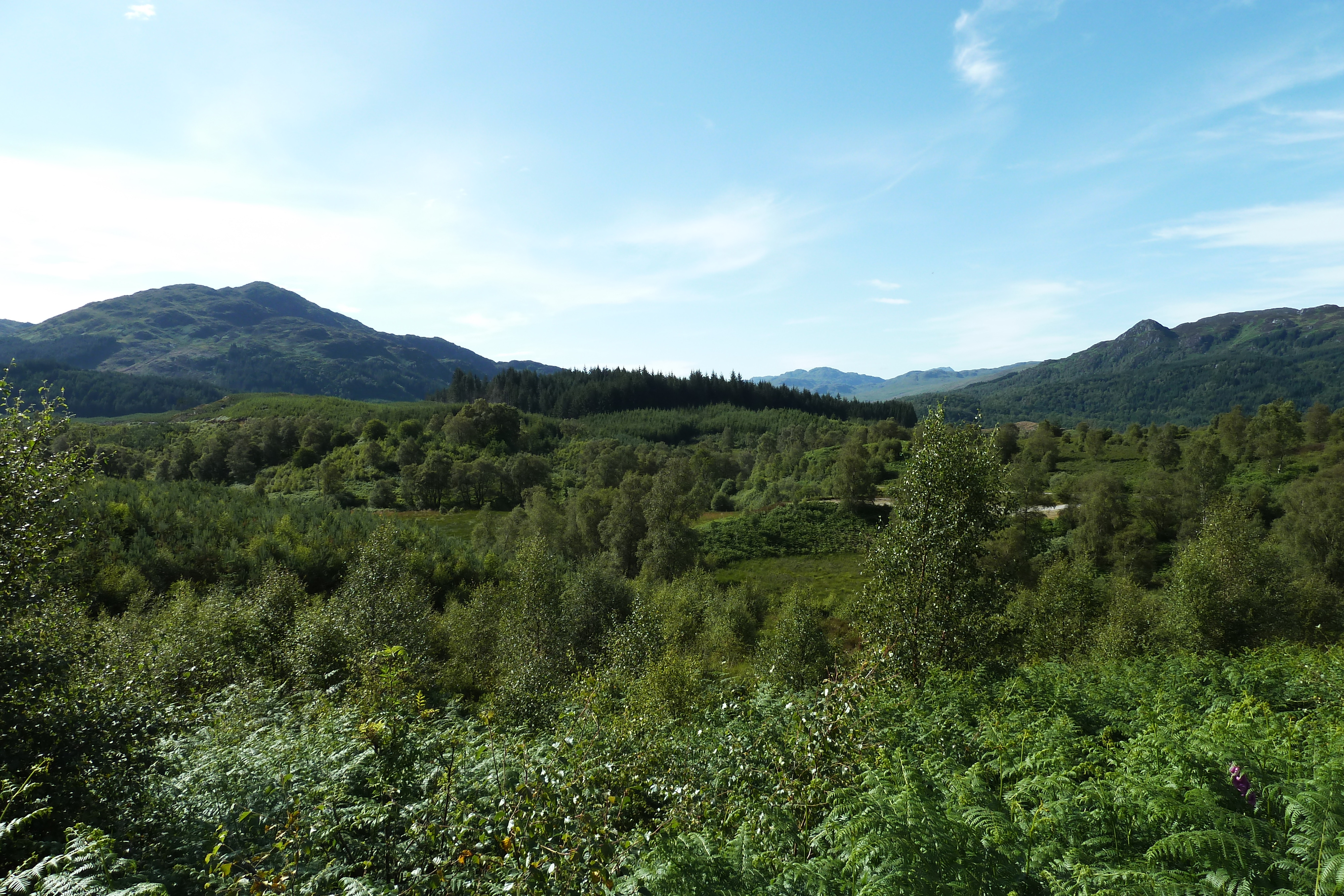 รูปถ่าย อังกฤษ(United Kingdom) ทรอสซักส์(The Trossachs) 2011-07 55