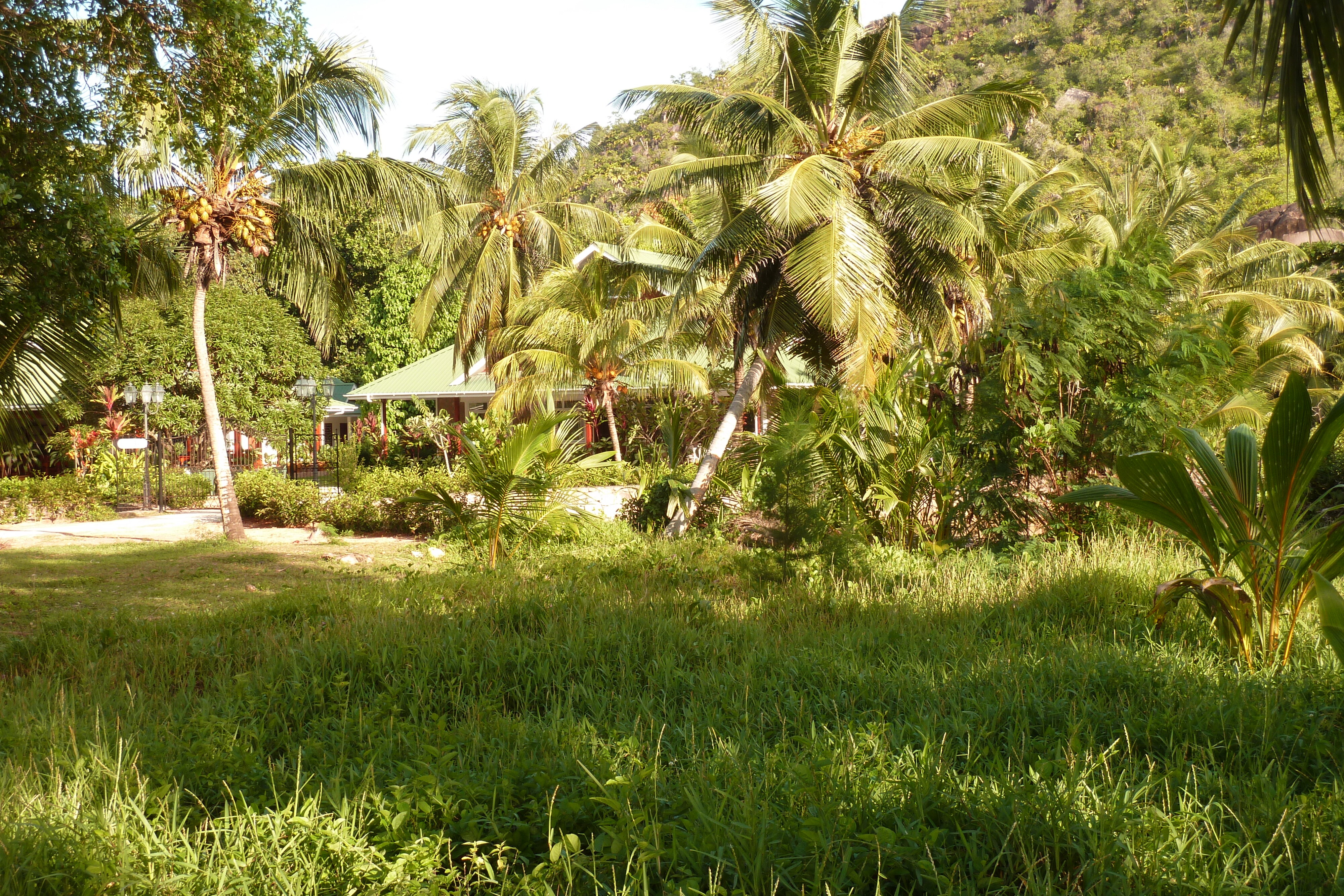 รูปถ่าย เซเชลส์(Seychelles) อ่าวอ็องส์ลาซิโอ(Anse Lazio) 2011-10 106