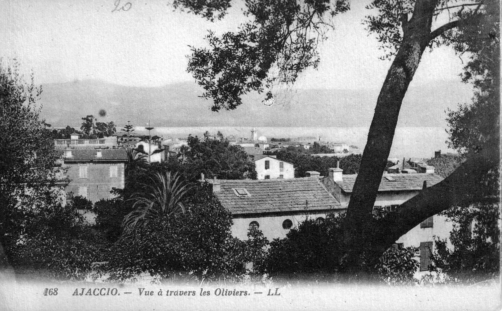 รูปถ่าย ฝรั่งเศส(France) คอร์สิคา(Corsica) โปสการ์ดเก่า(Old Postcards) 1900-01 337