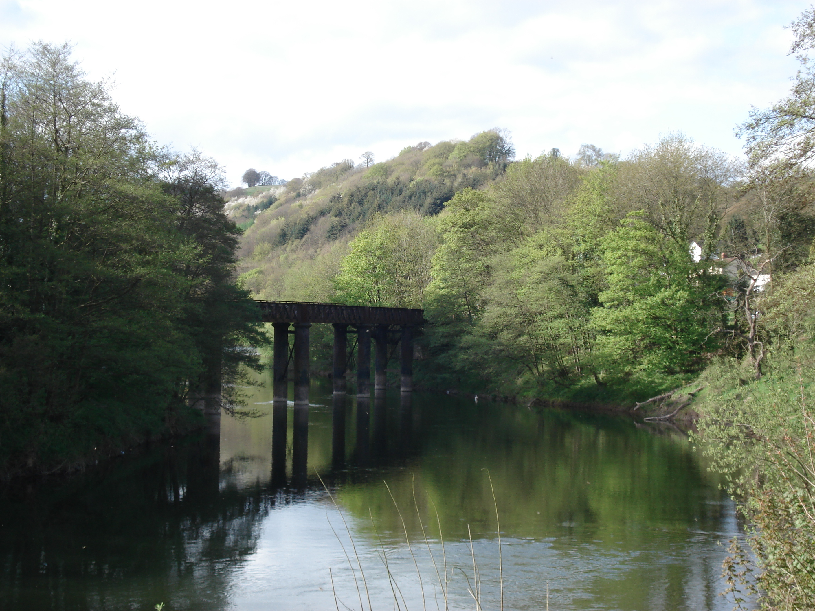 รูปถ่าย อังกฤษ(United Kingdom) หุบเขาไวย์(Wye Valley) 2006-05 19
