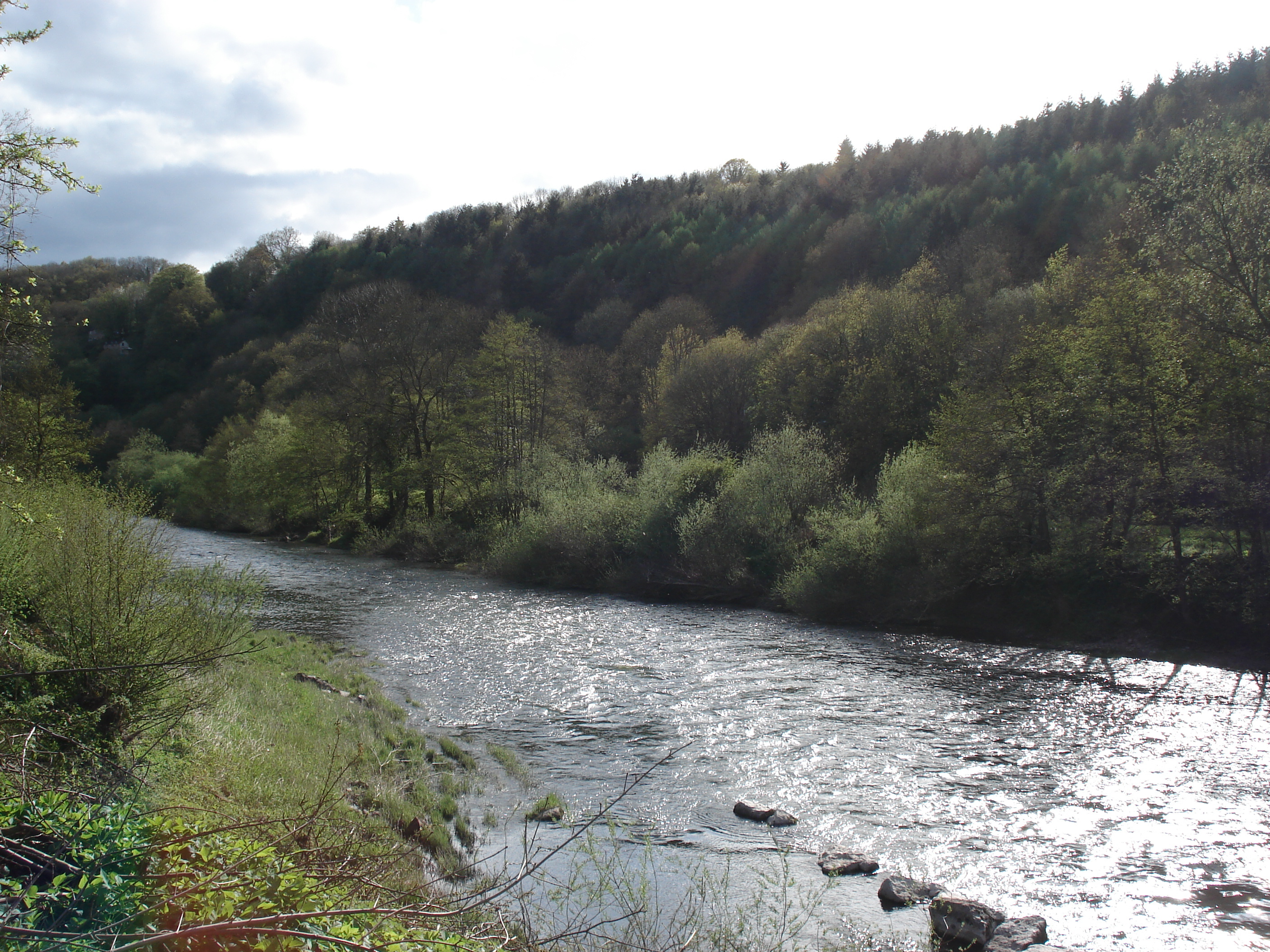 รูปถ่าย อังกฤษ(United Kingdom) หุบเขาไวย์(Wye Valley) 2006-05 58
