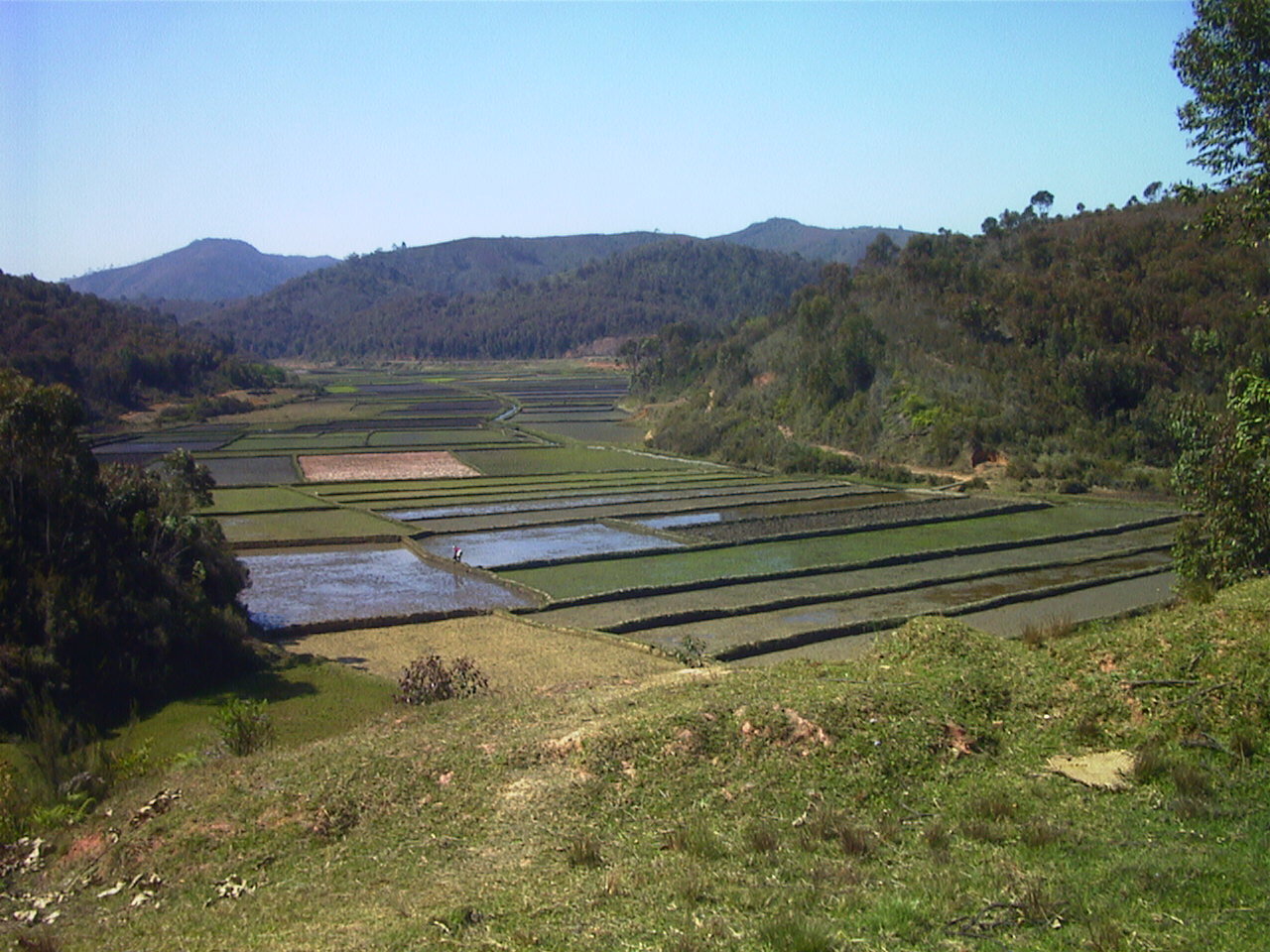 รูปถ่าย มาดากัสการ์(Madagascar) 1999-10 7