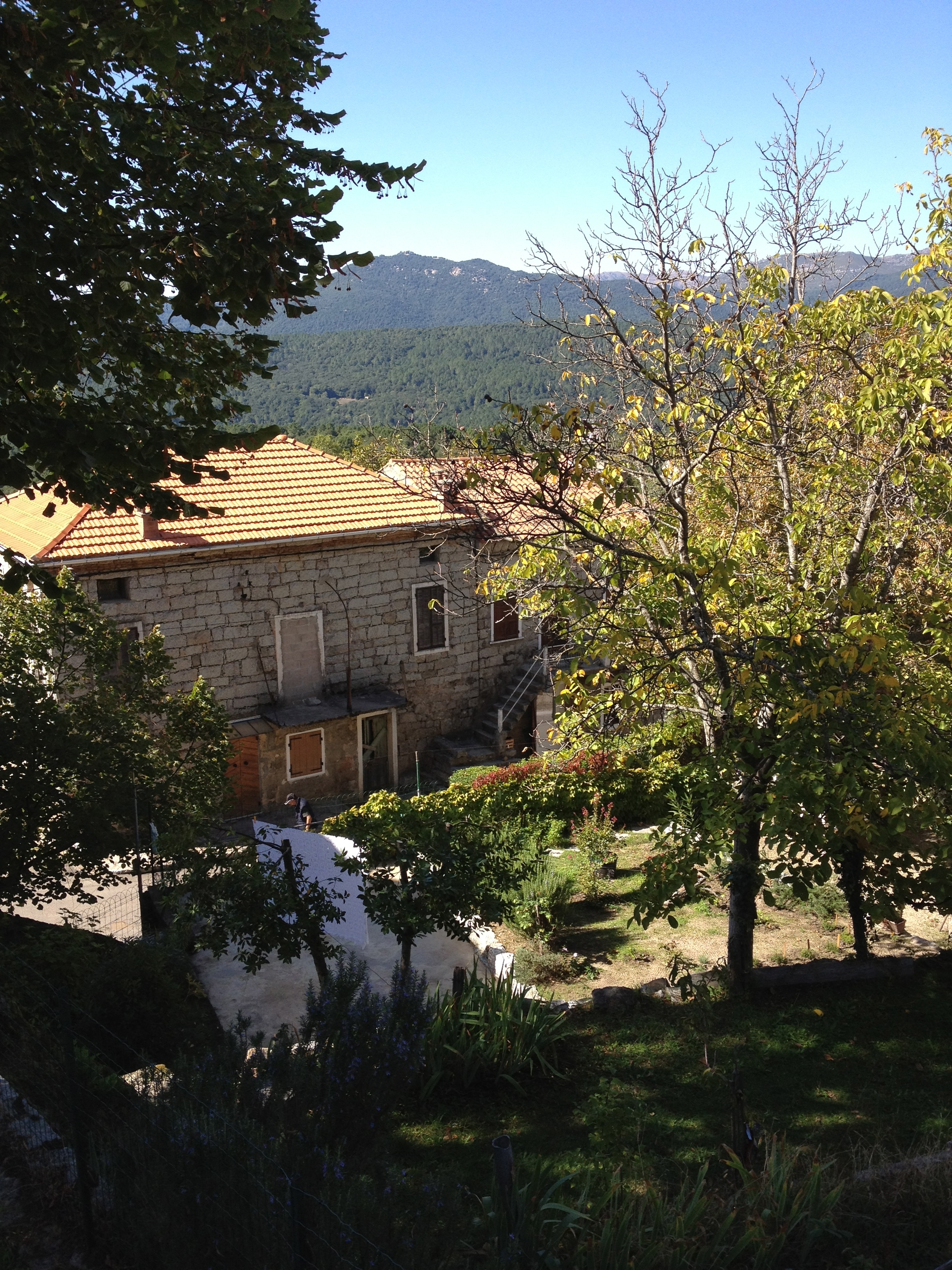 รูปถ่าย ฝรั่งเศส(France) คอร์สิคา(Corsica) ซอนซา(Zonza) 2012-09 11