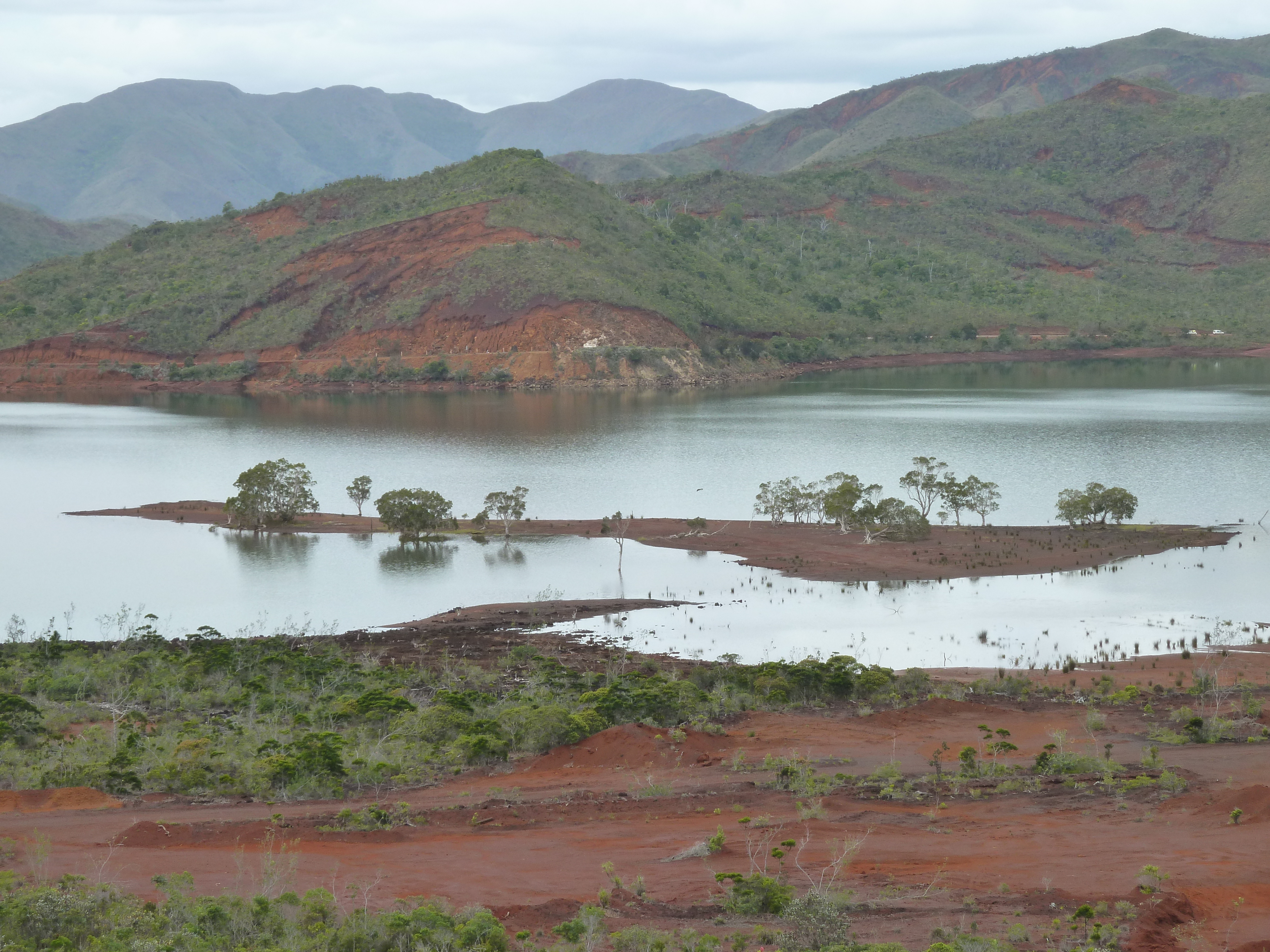 รูปถ่าย นิวแคลิโดเนีย(New Caledonia) อุทยานริเวียร์เบลอ(Parc de la Riviere Bleue) 2010-05 129