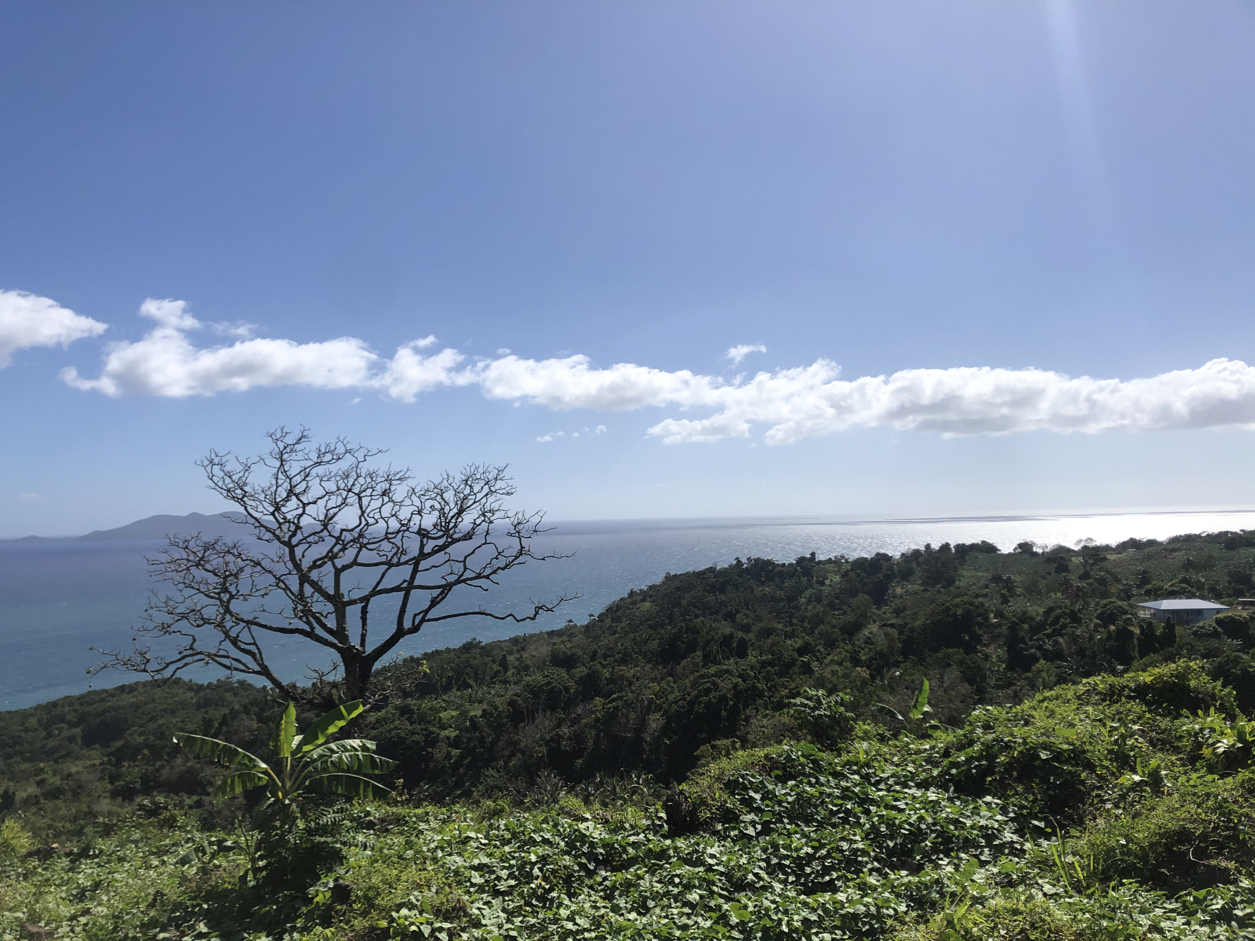 รูปถ่าย กวาเดอลูป(Guadeloupe) ทรัวรีวีแยร์(Trois Rivieres) 2021-02 4