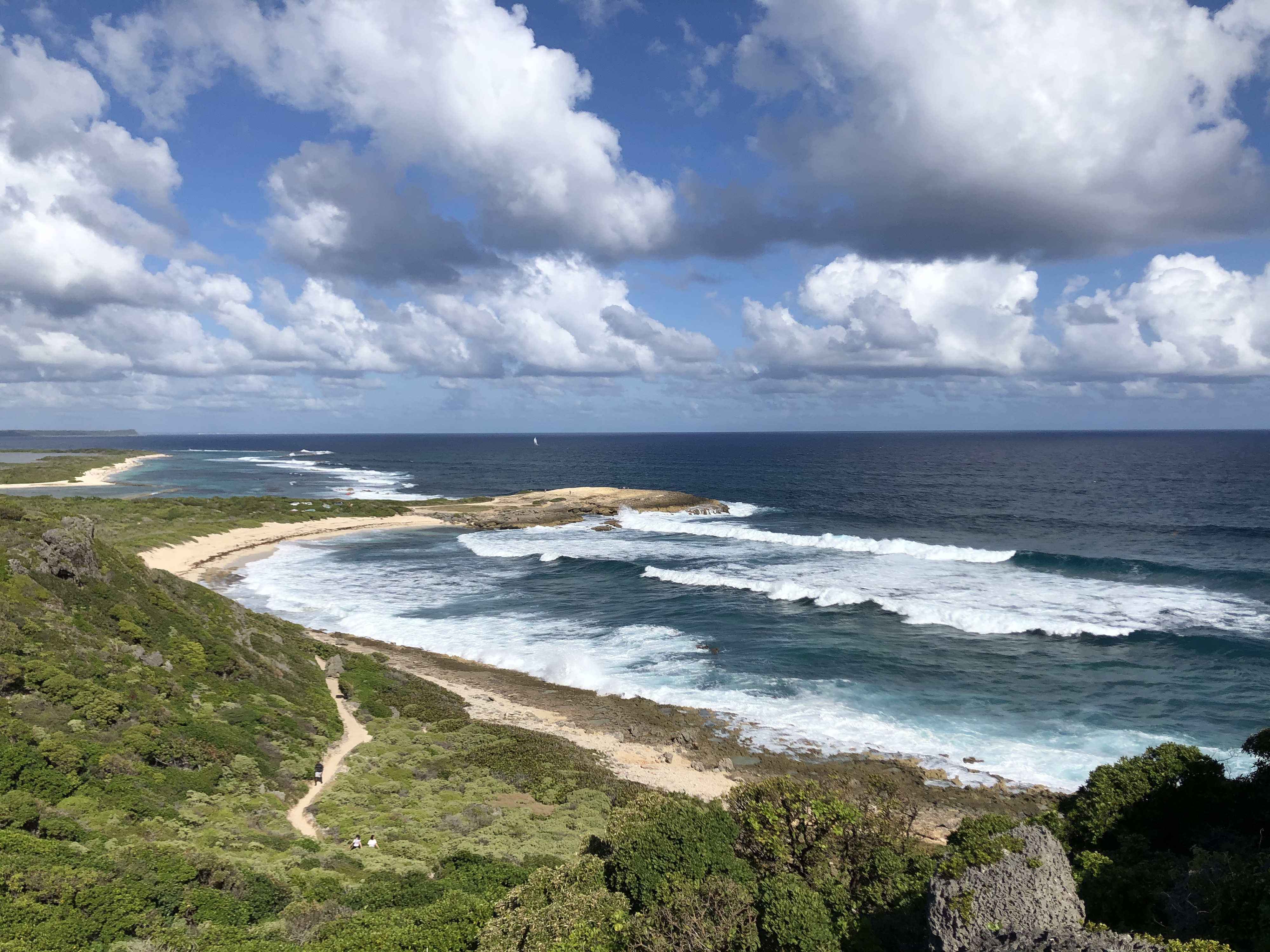 รูปถ่าย กวาเดอลูป(Guadeloupe) แหลมคาสเซิลพอยต์(Castle Point) 2021-02 335
