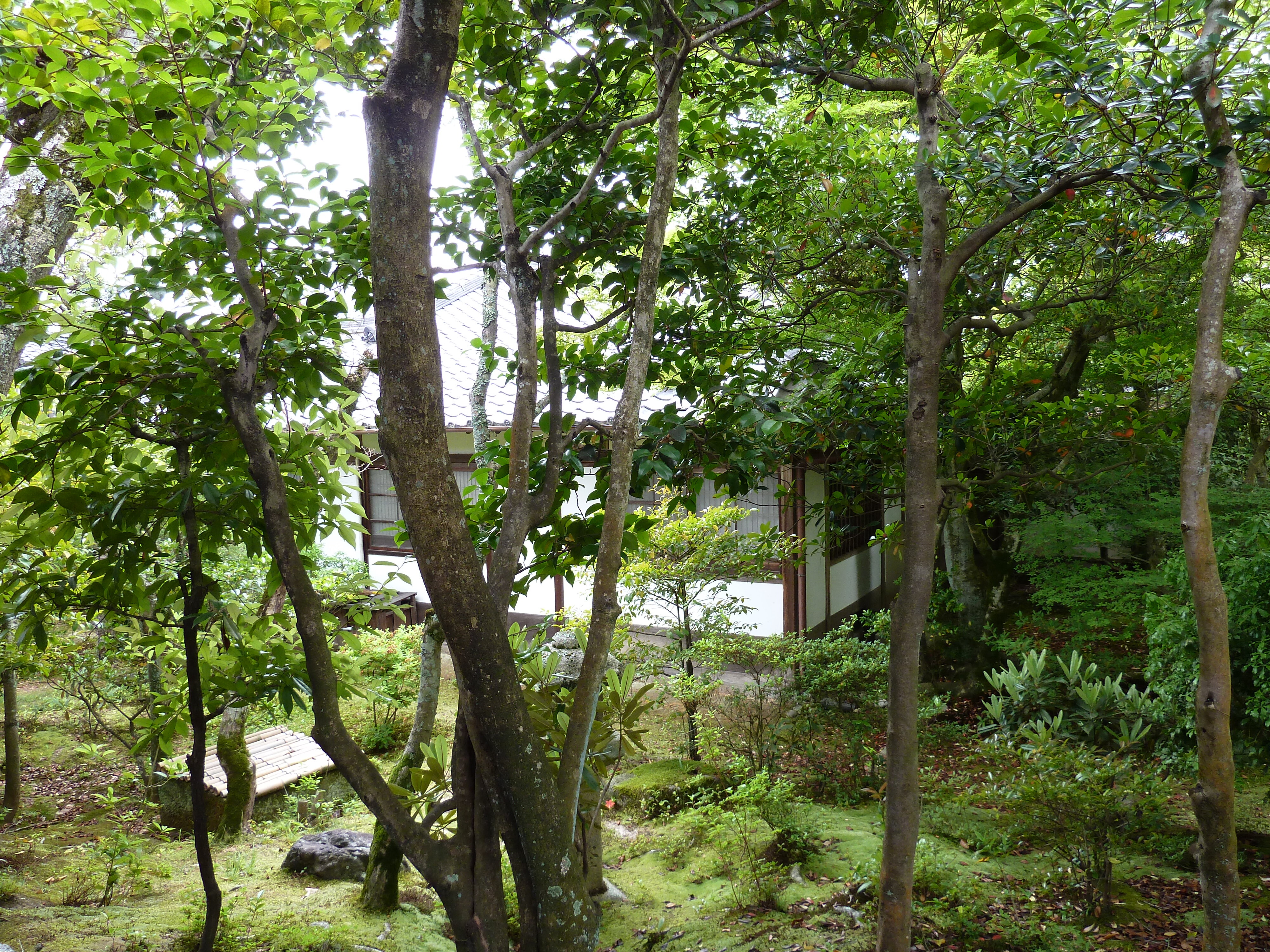 รูปถ่าย ญี่ปุ่น(Japan) เกียวโต(Kyoto) ตำหนักหลวงวัดนินนะจิ(Ninna ji imperial Residence) 2010-06 100