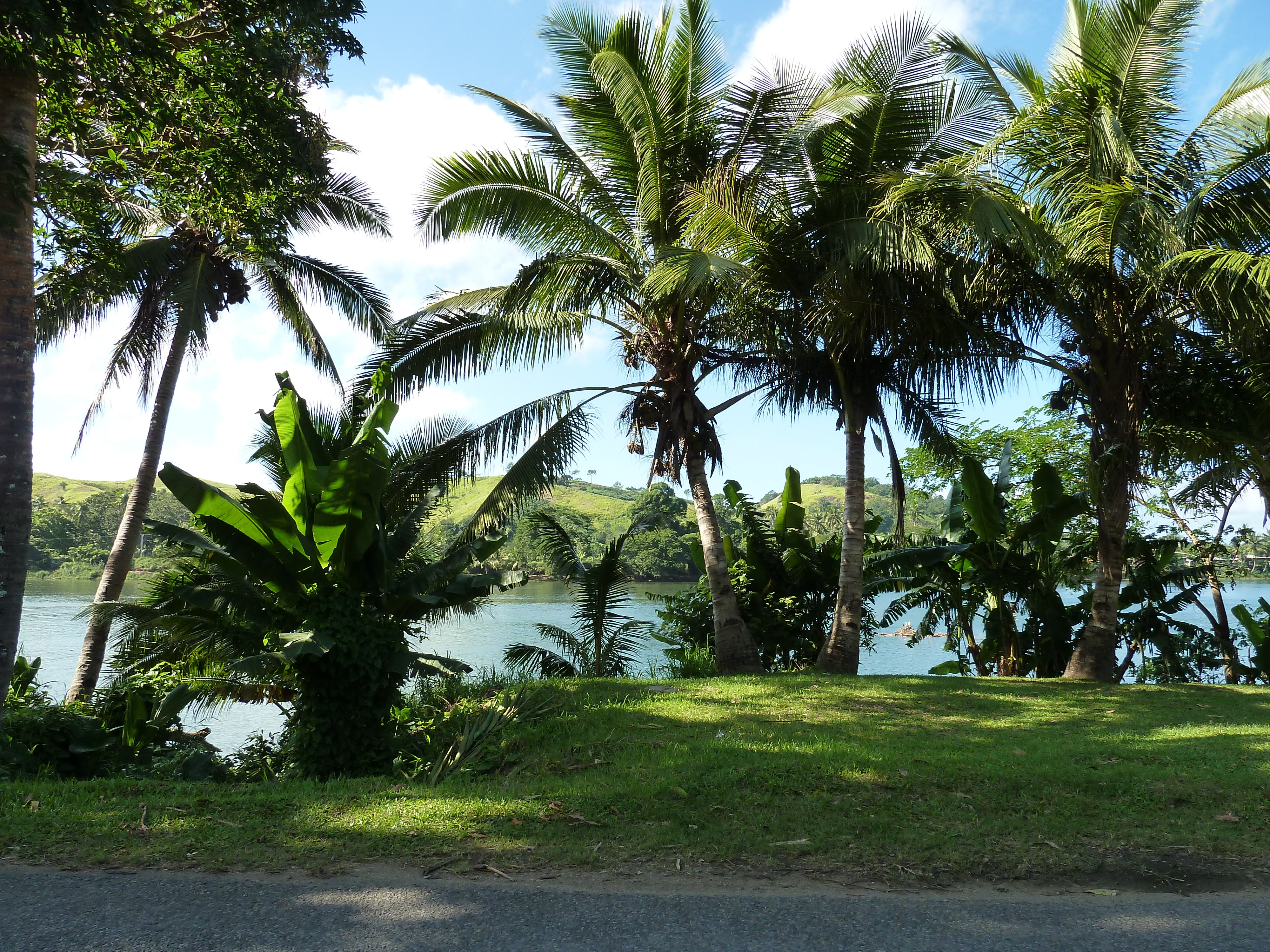 รูปถ่าย ฟิจิ(Fiji) แม่น้ำซิงกาโตกา(Sigatoka river) 2010-05 49