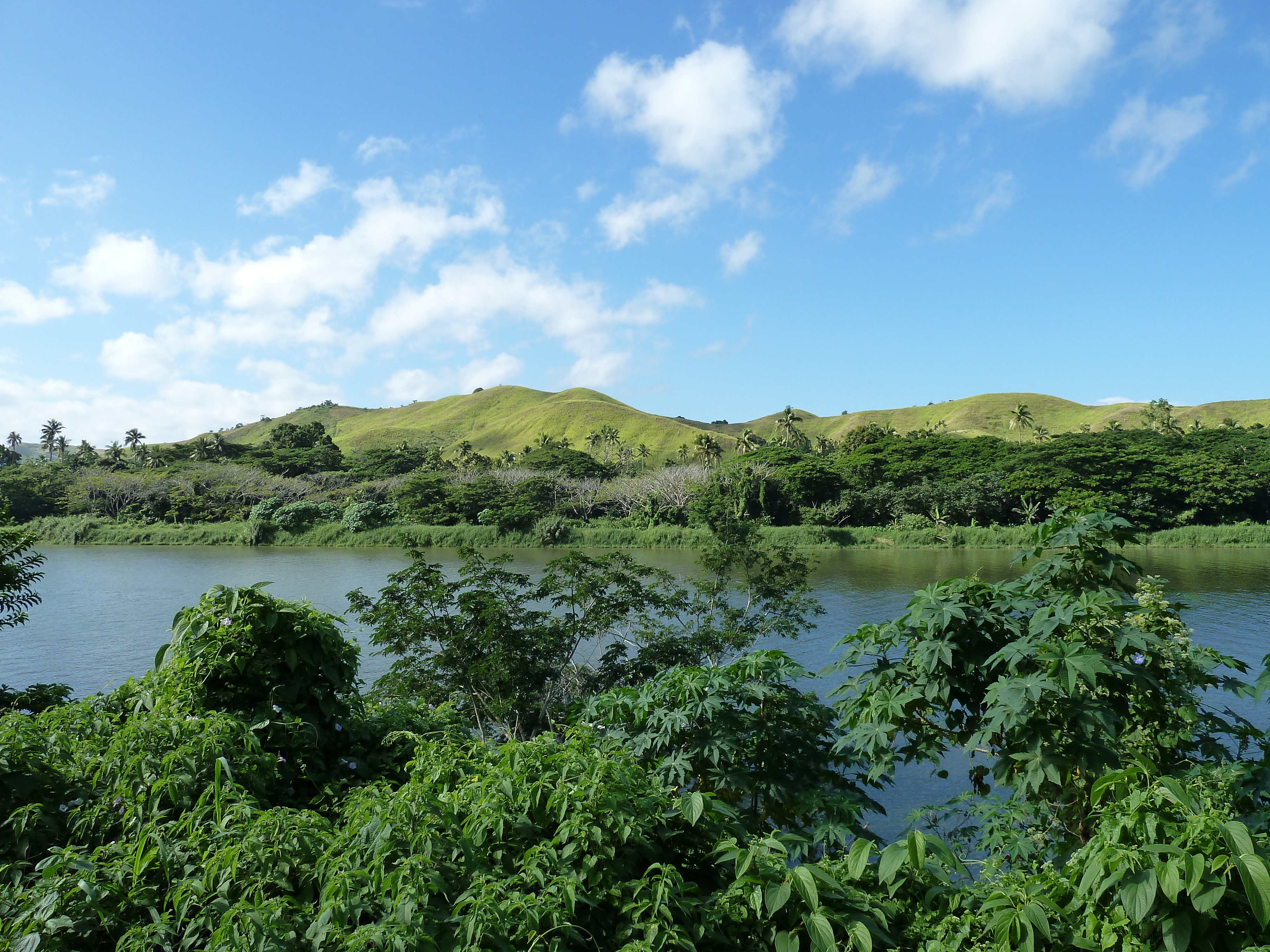 รูปถ่าย ฟิจิ(Fiji) 2010-05 53