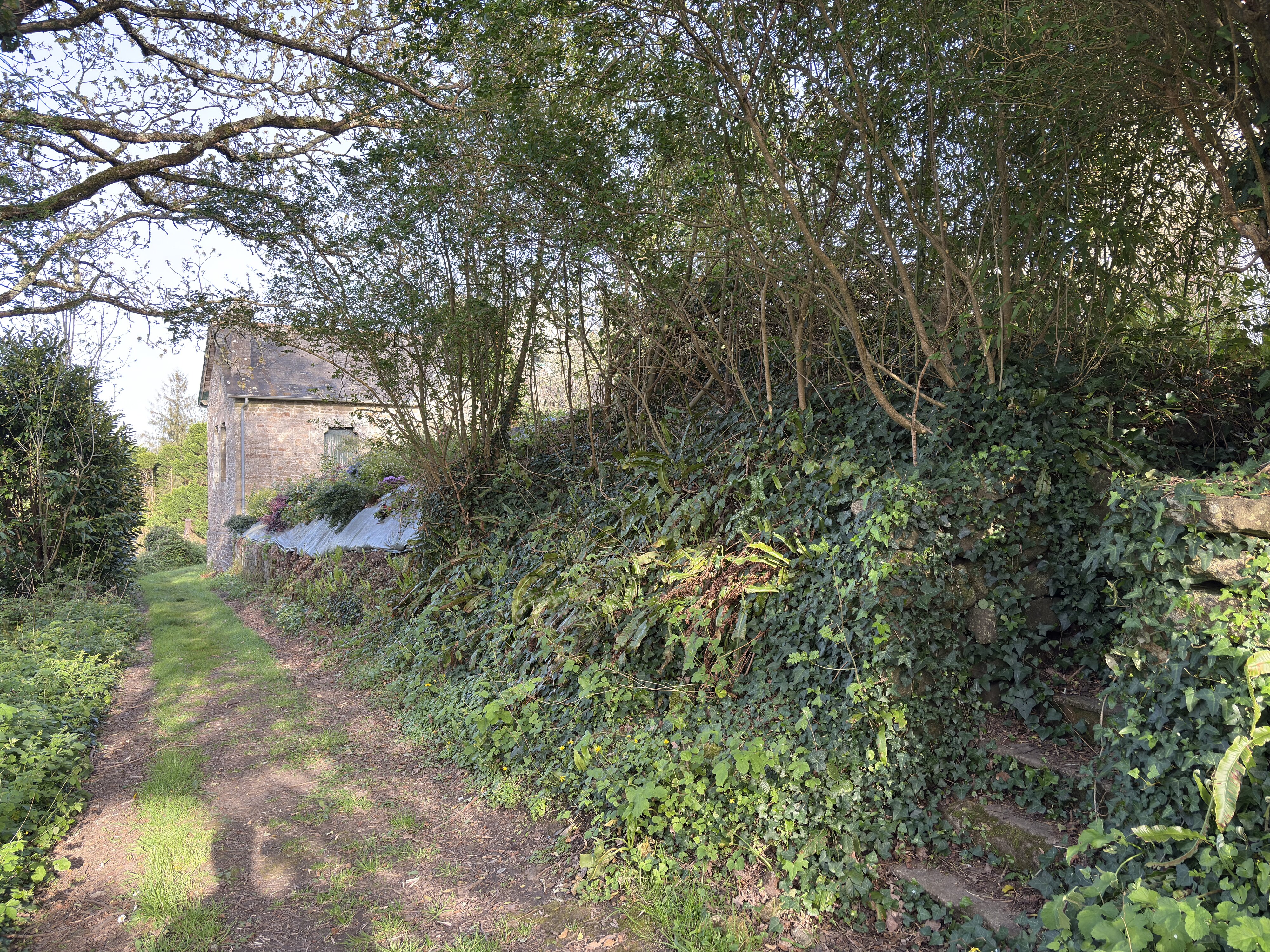 รูปถ่าย ฝรั่งเศส(France) ล็อกโรน็อง(Locronan) 2026-04 92