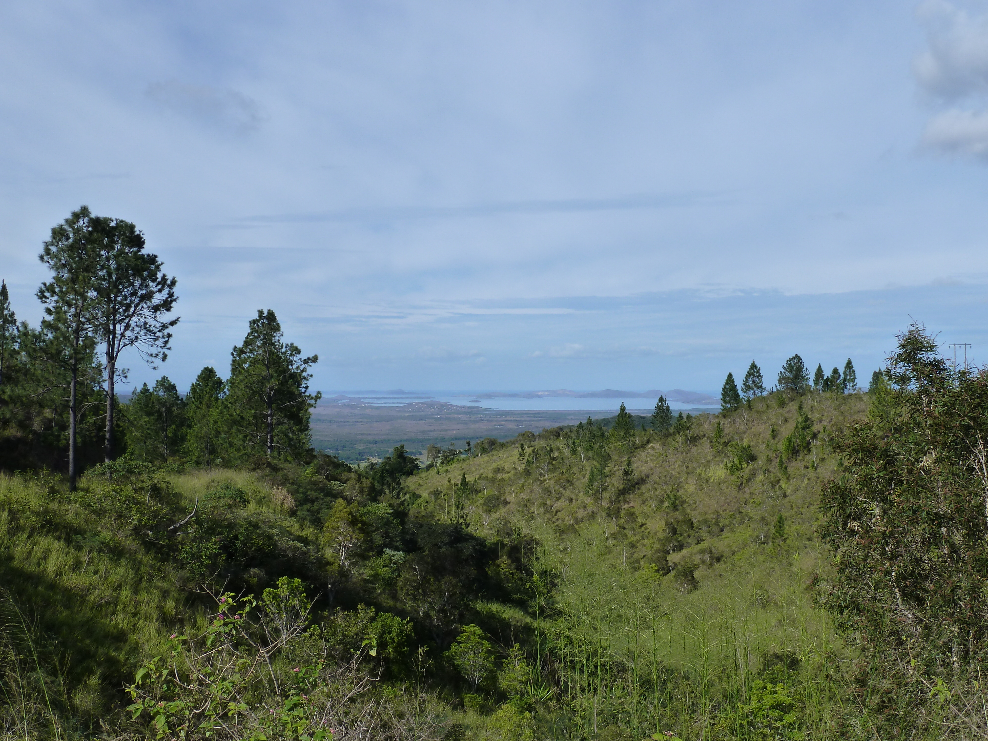 รูปถ่าย นิวแคลิโดเนีย(New Caledonia) ถนนจากตงตูตาไปทีโอ(Tontouta to Thio road) 2010-05 50